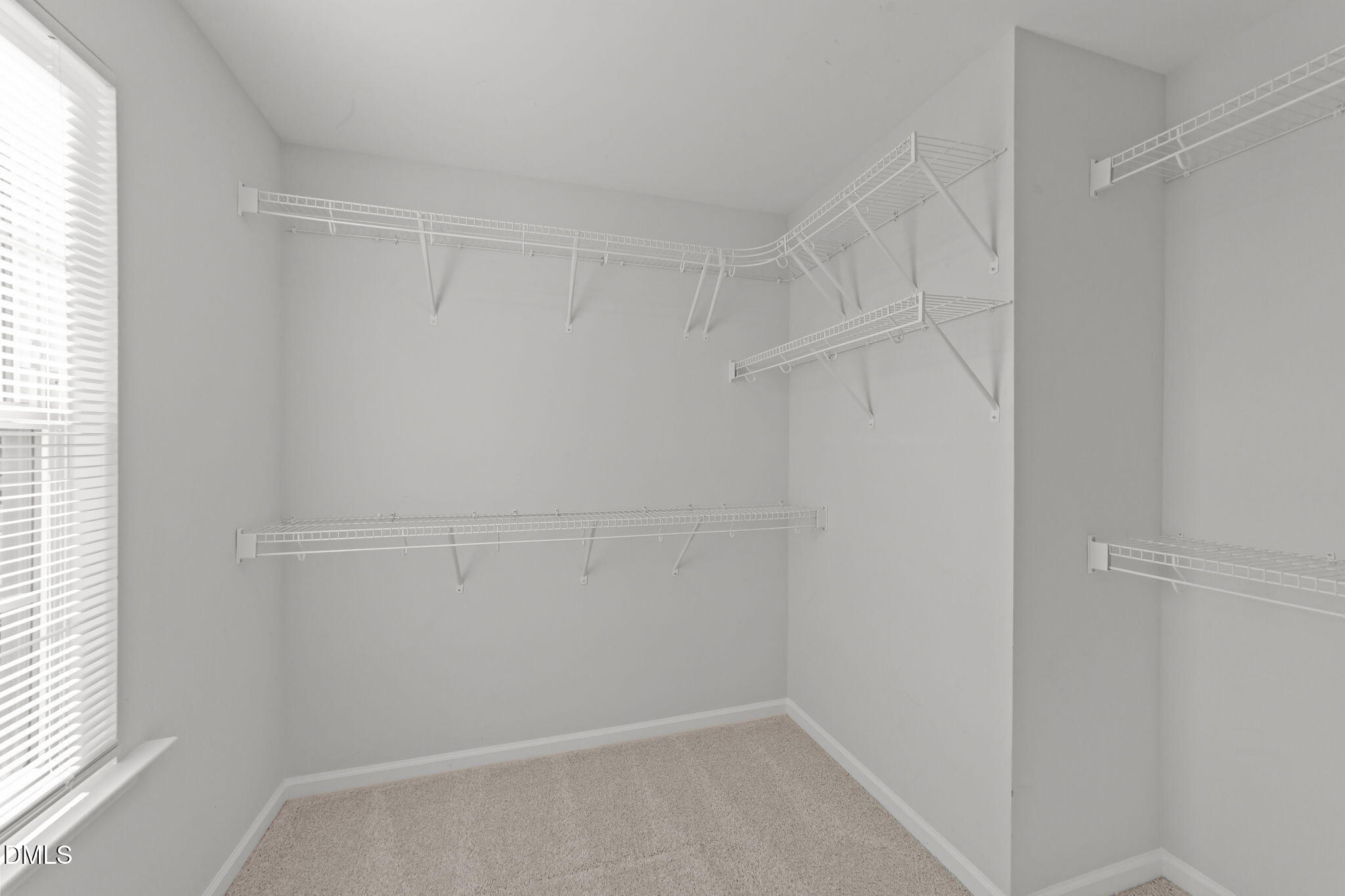226 Blue Iris Parkway Property Photo 26