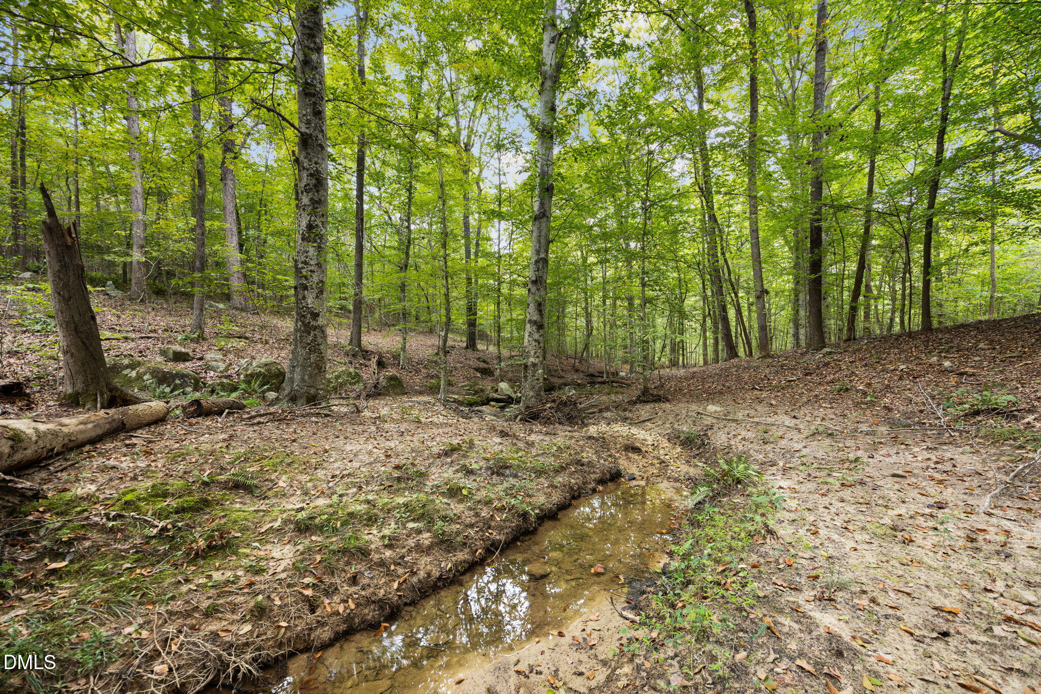 Lot E Wolf Tree Way Property Photo 31