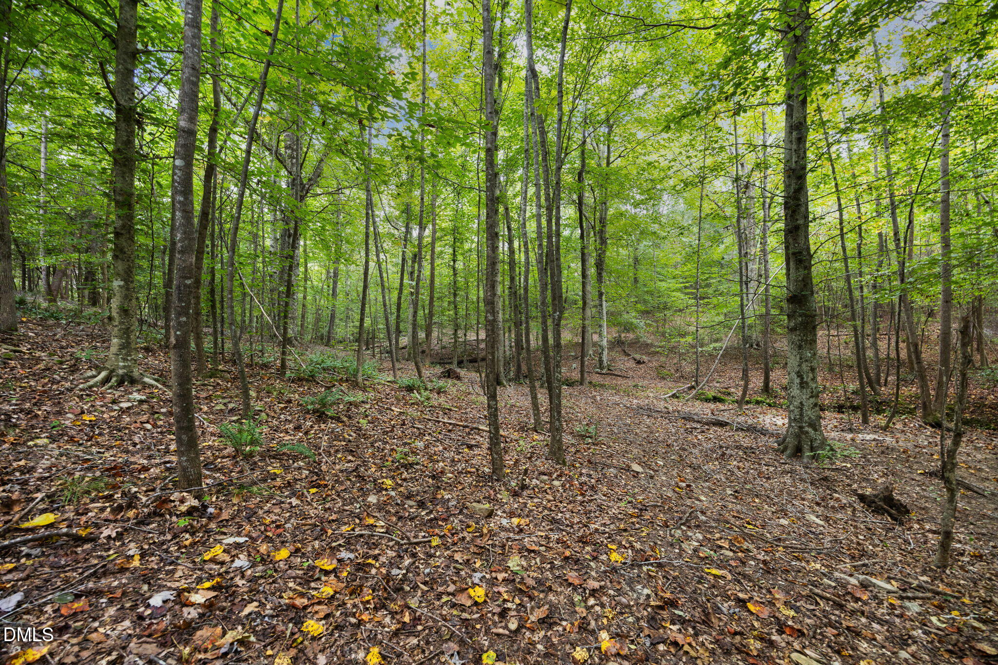 Lot E Wolf Tree Way Property Photo 32