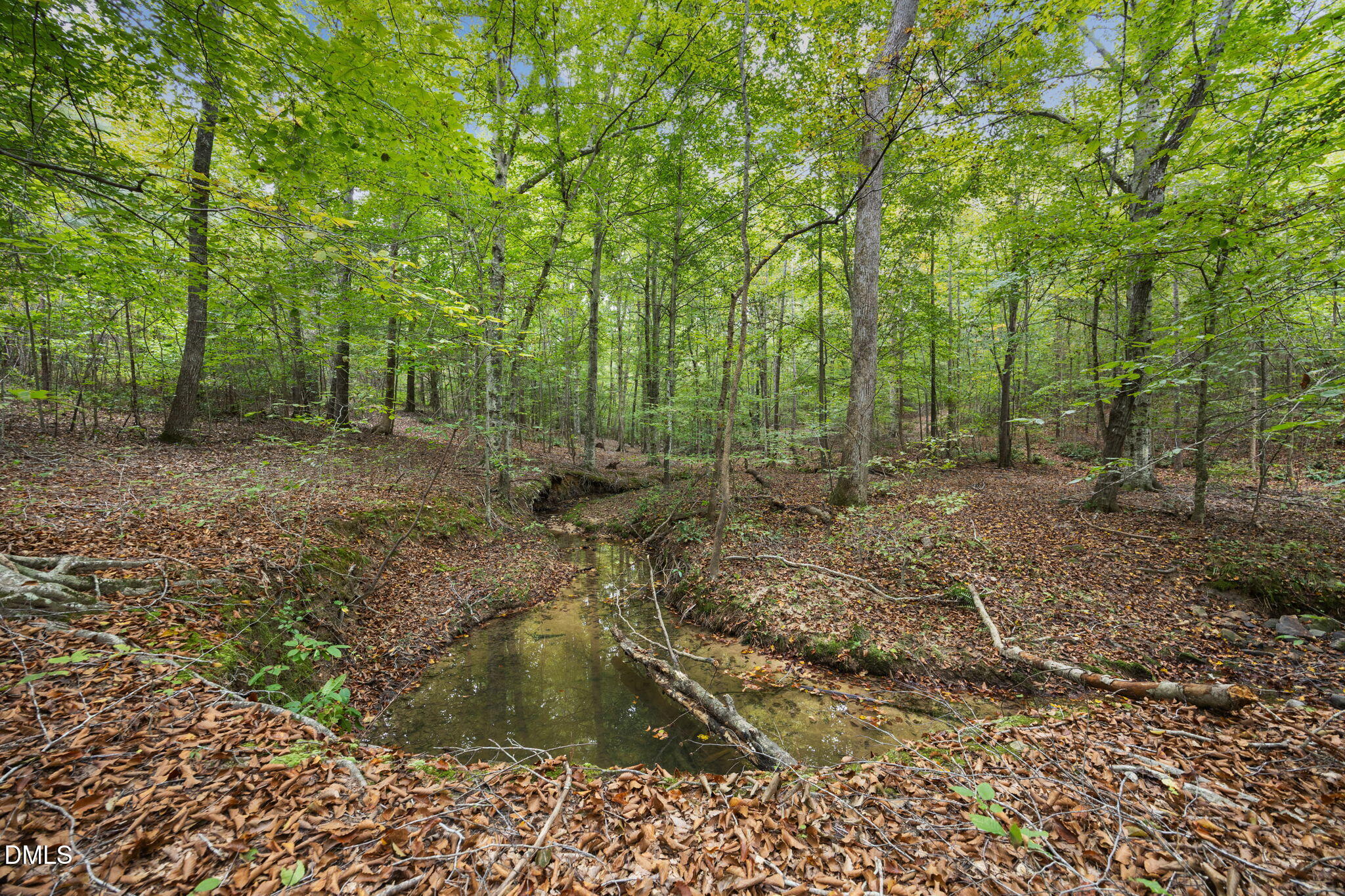 Lot E Wolf Tree Way Property Photo 33