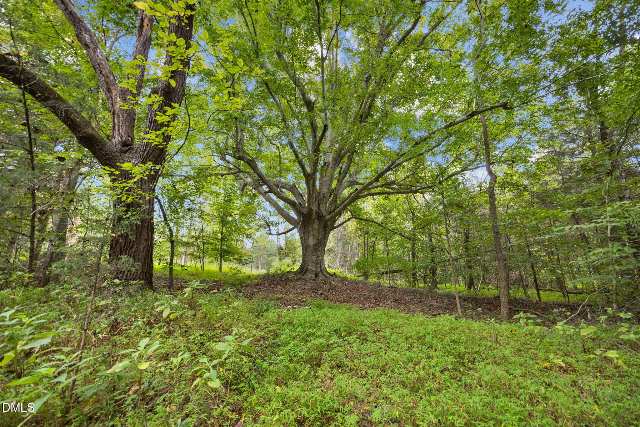 Lot D Wolf Tree Way Property Photo 29