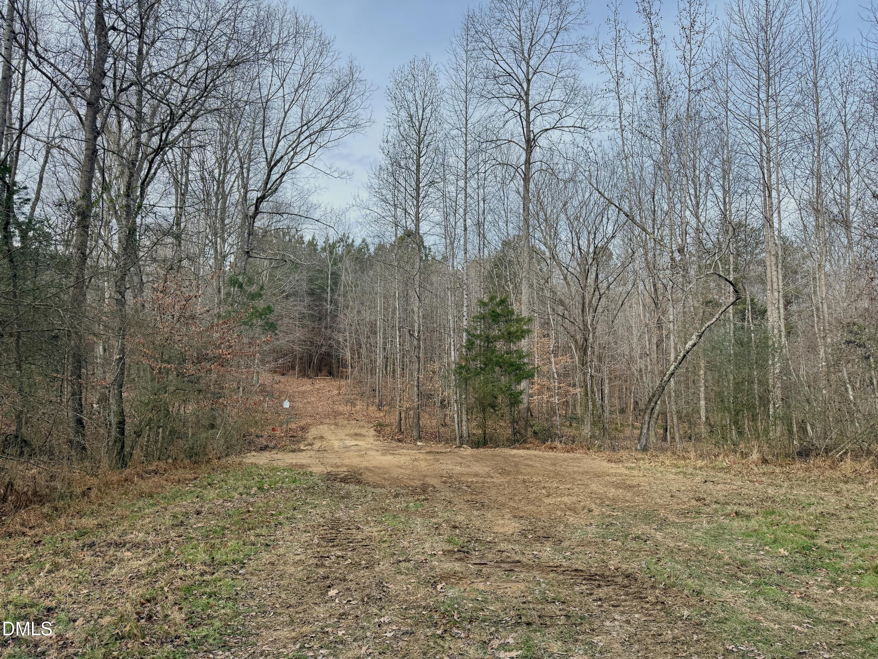 Lot D Wolf Tree Way Property Photo 31