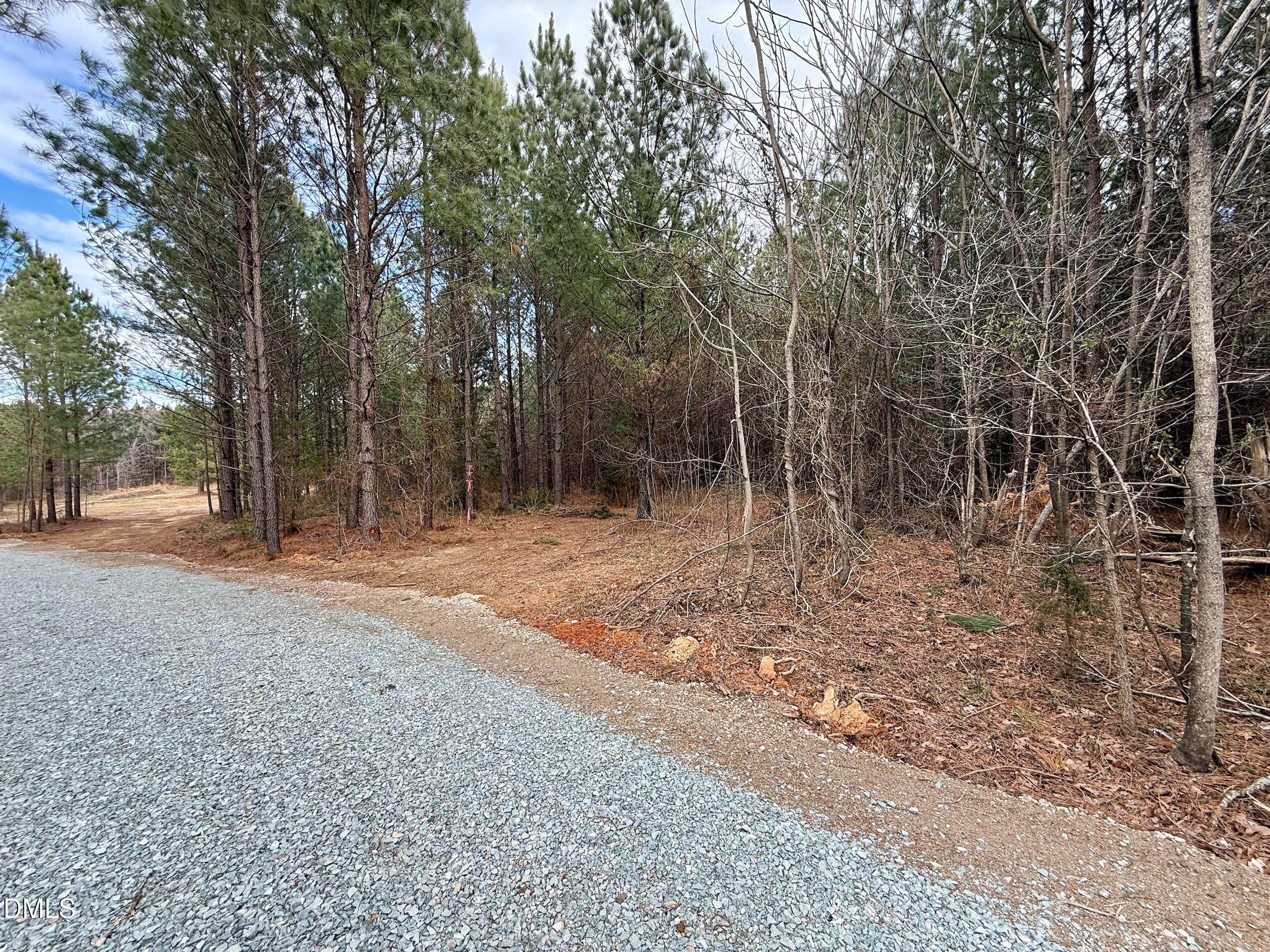 Lot D Wolf Tree Way Property Photo 39
