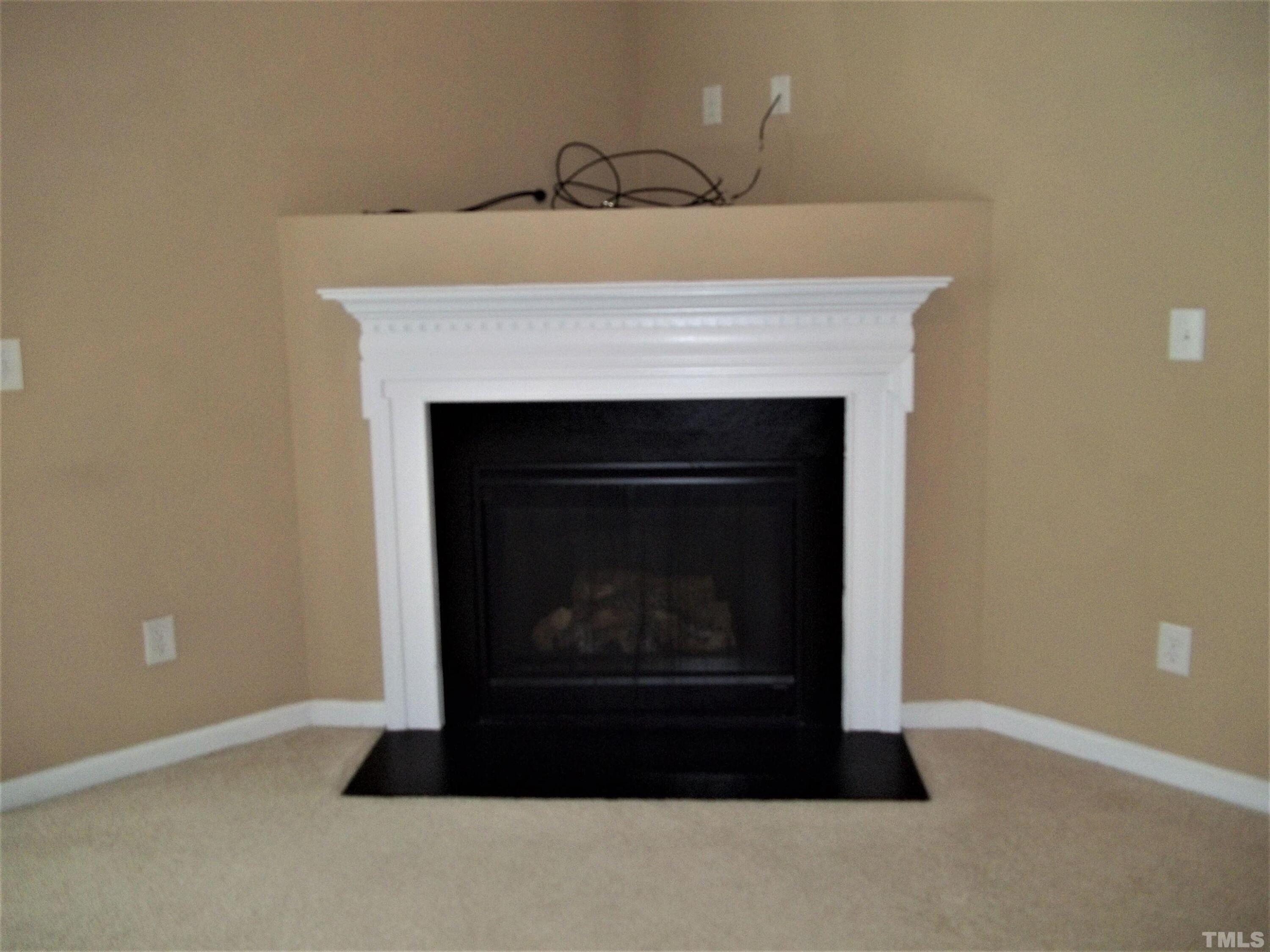 3003 Courtney Creek Boulevard Property Photo 9