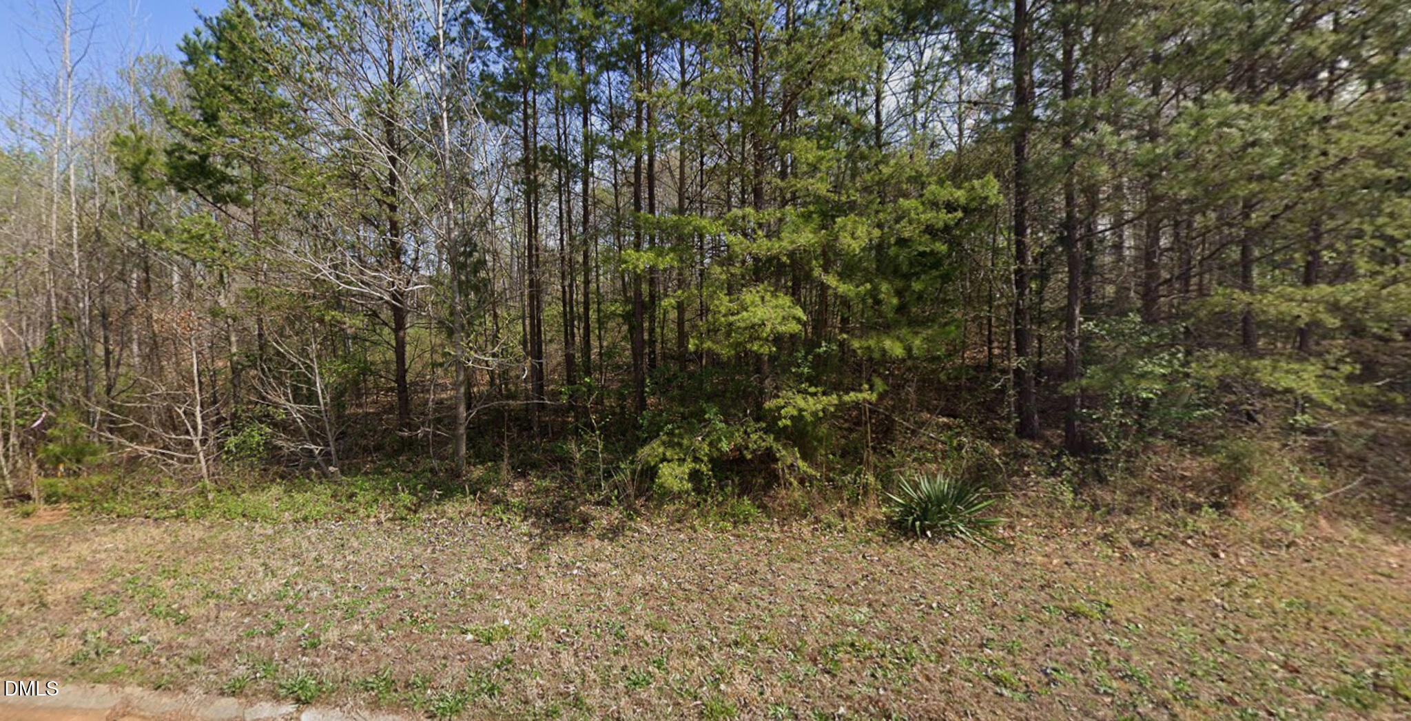 7411 Birchbend Lane Property Photo 1