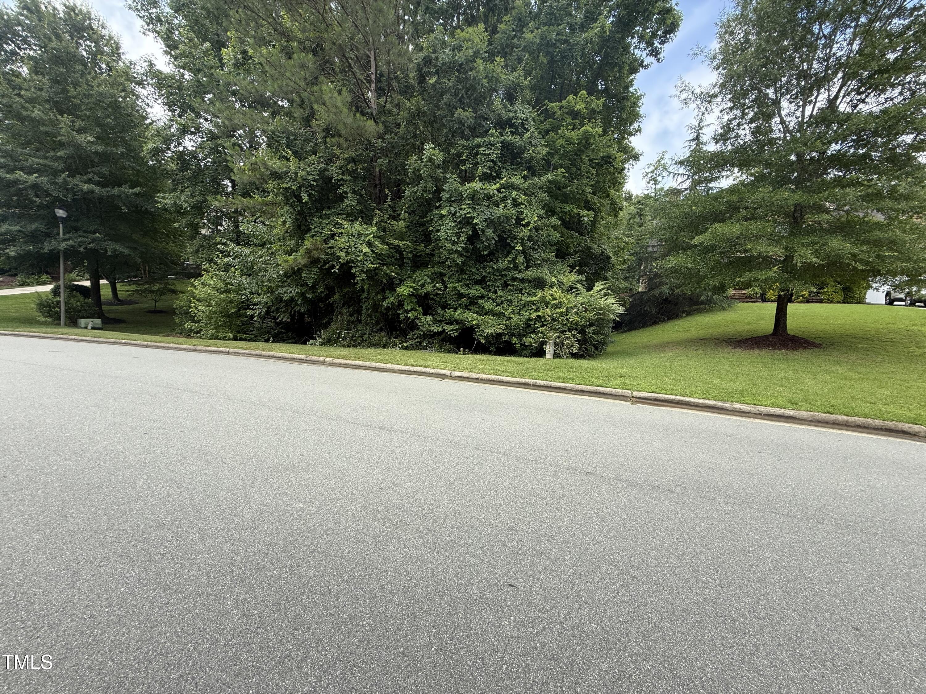 533 Bear Tree Creek Property Photo 33