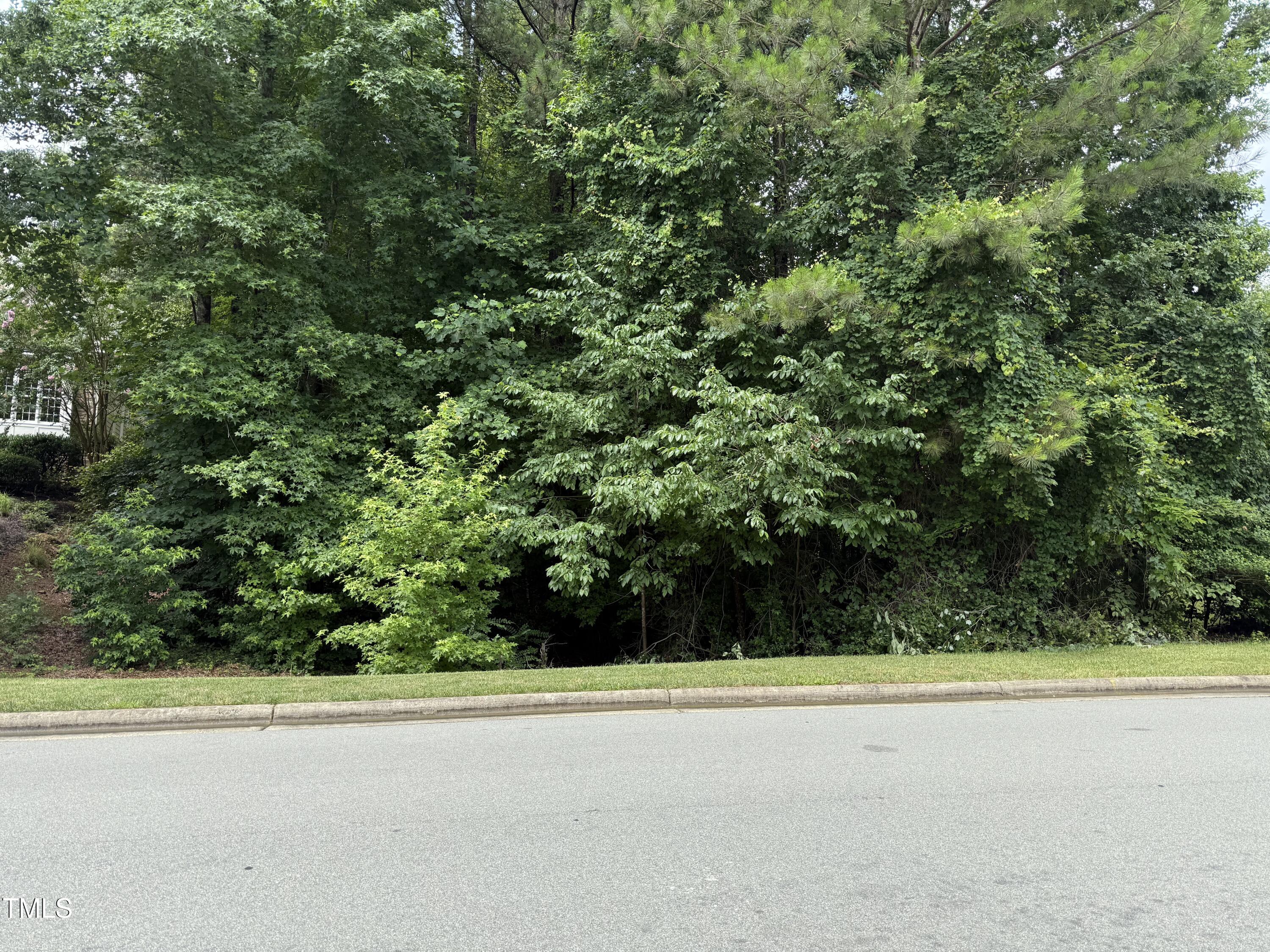 533 Bear Tree Creek Property Photo 35