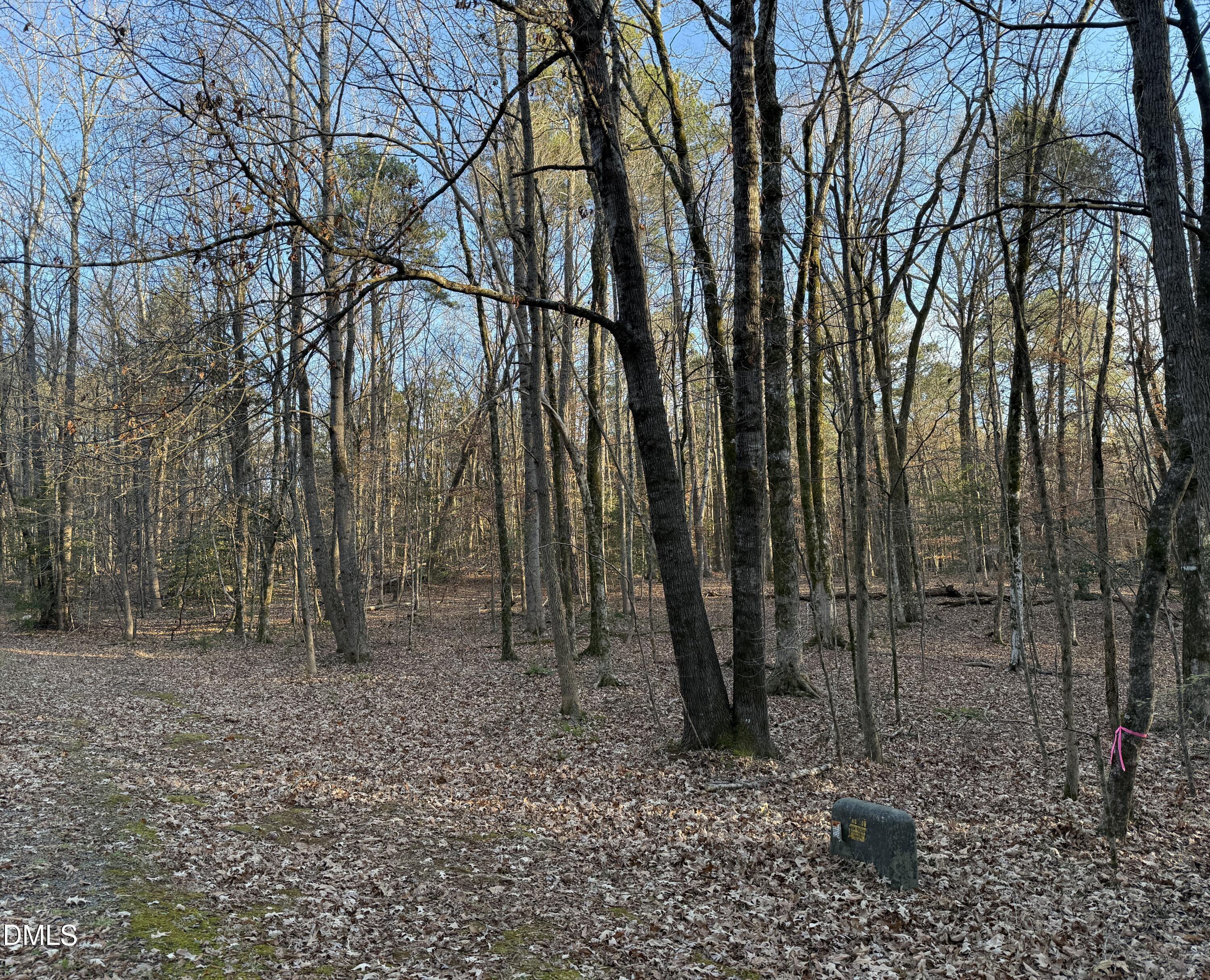 0 Woodland Rd. Property Photo 2