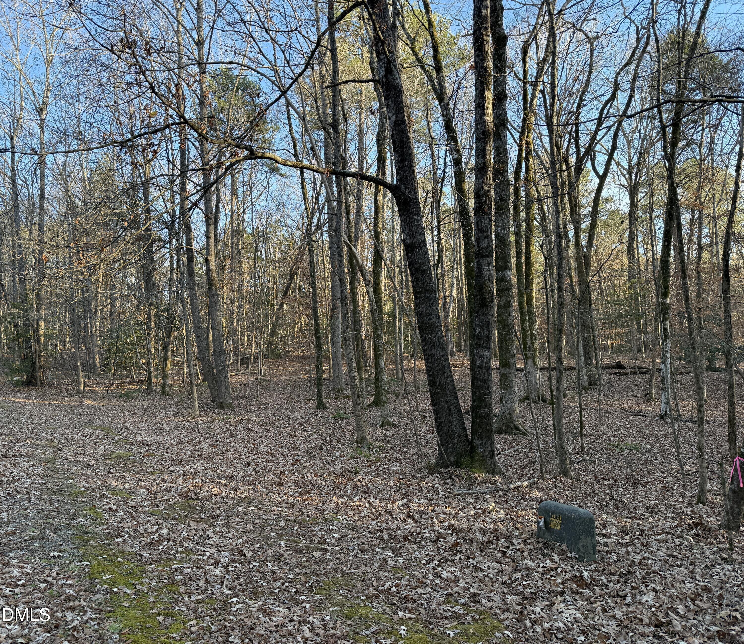 0 Woodland Rd. Property Photo 3