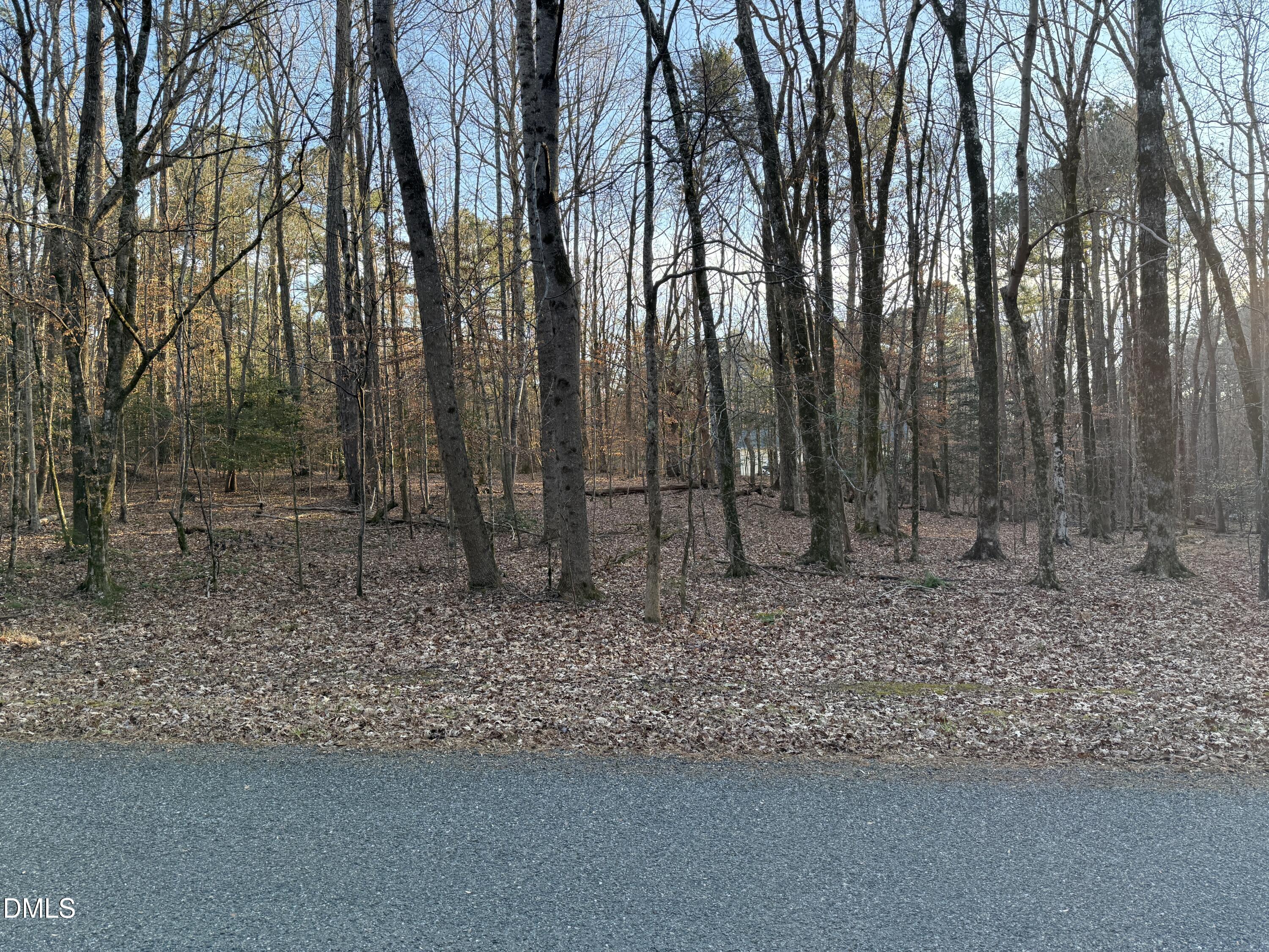 0 Woodland Rd. Property Photo 4