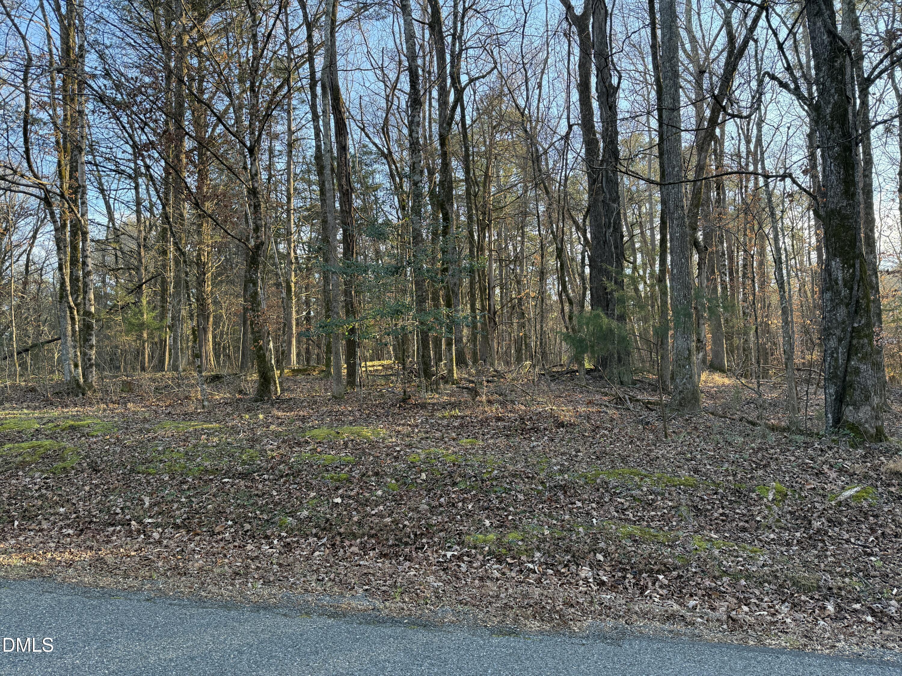0 Woodland Rd. Property Photo 5