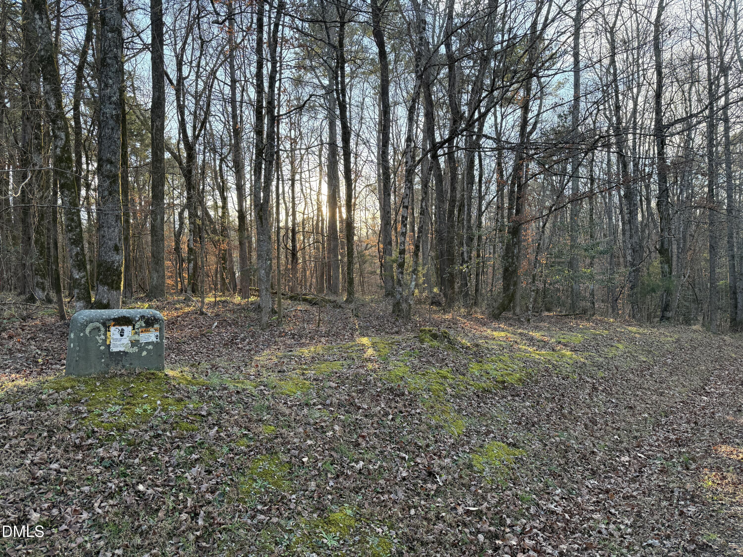 0 Woodland Rd. Property Photo 6