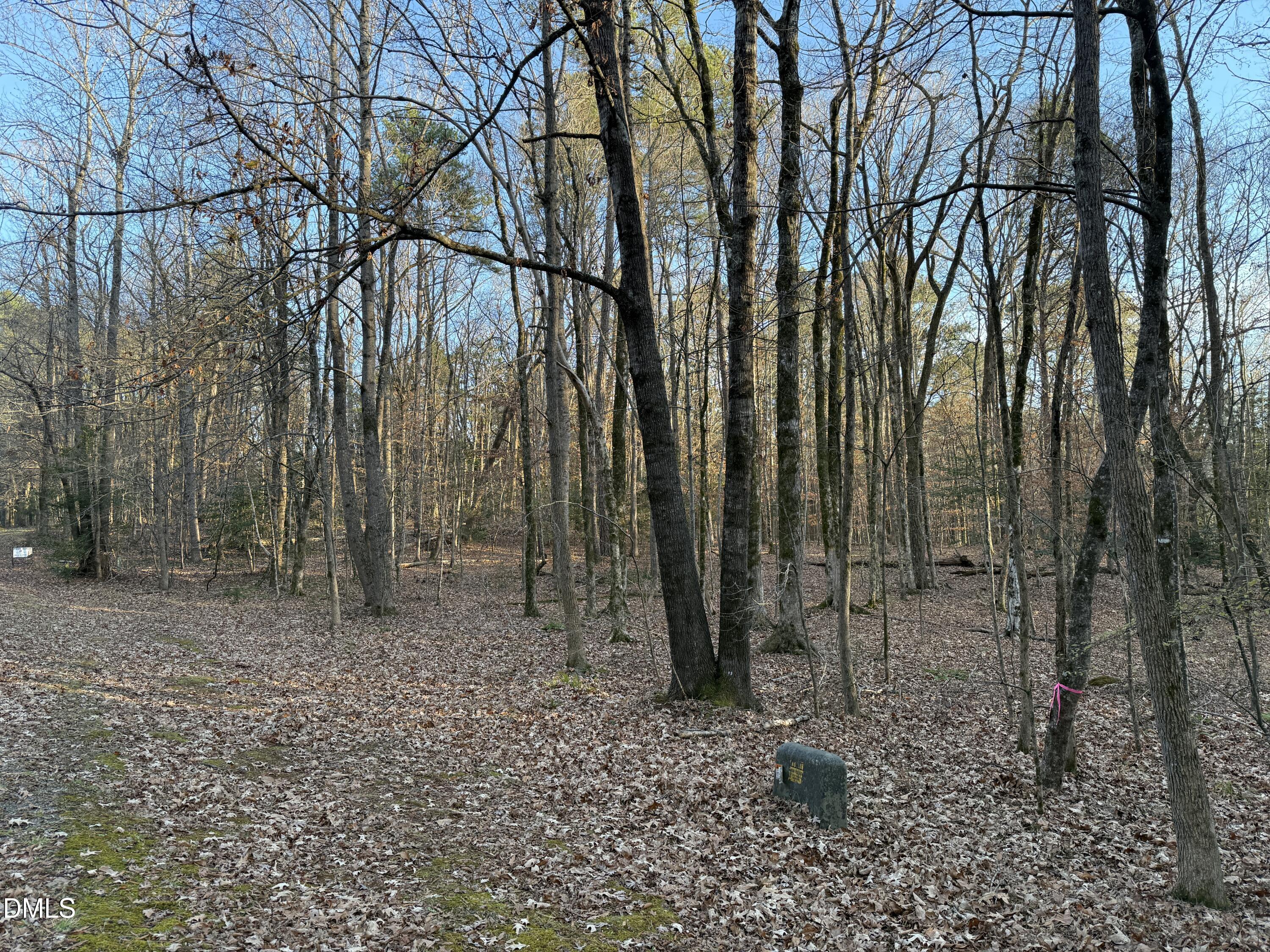 0 Woodland Rd. Property Photo 9