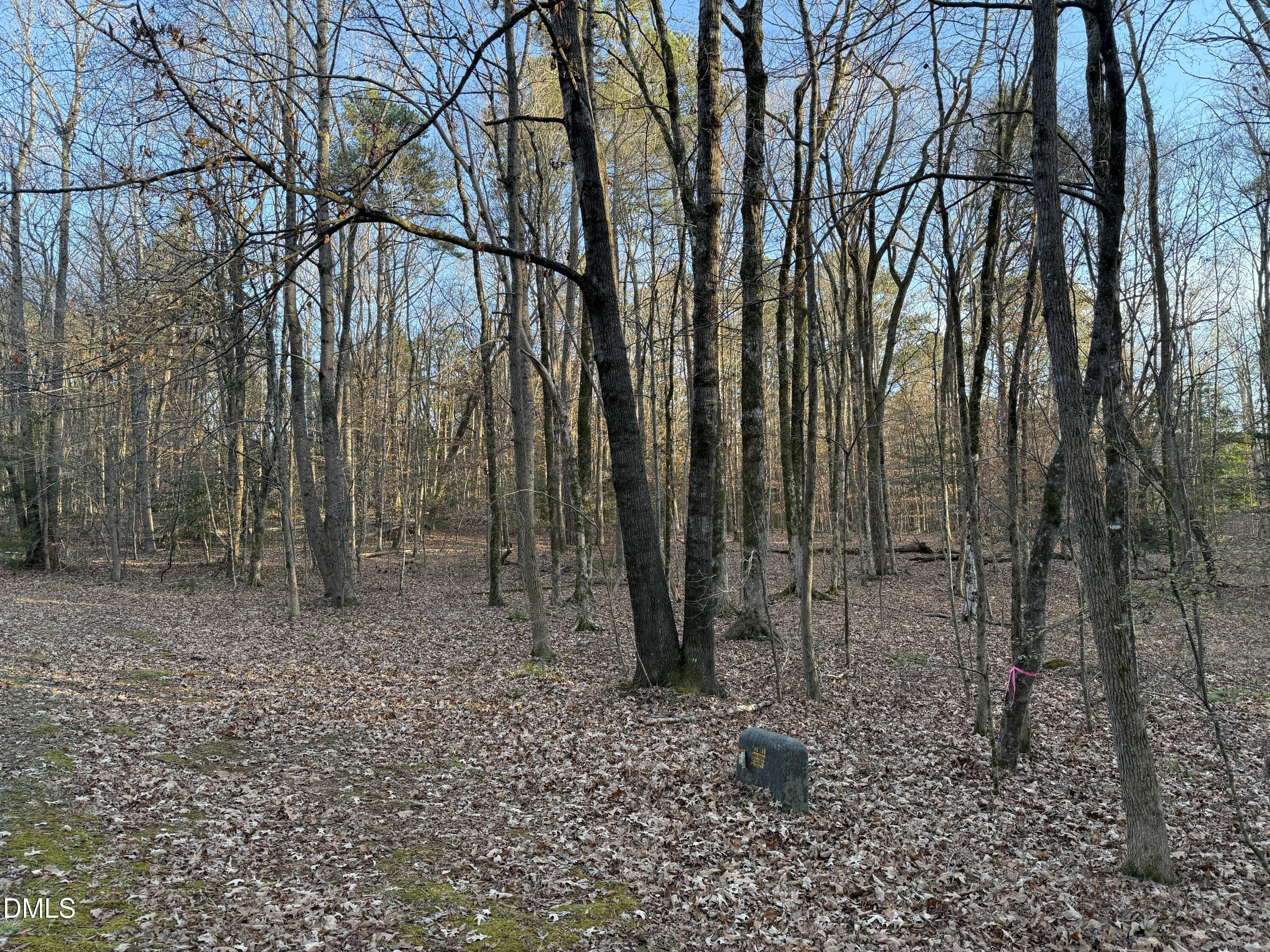 0 Woodland Rd. Property Photo 10