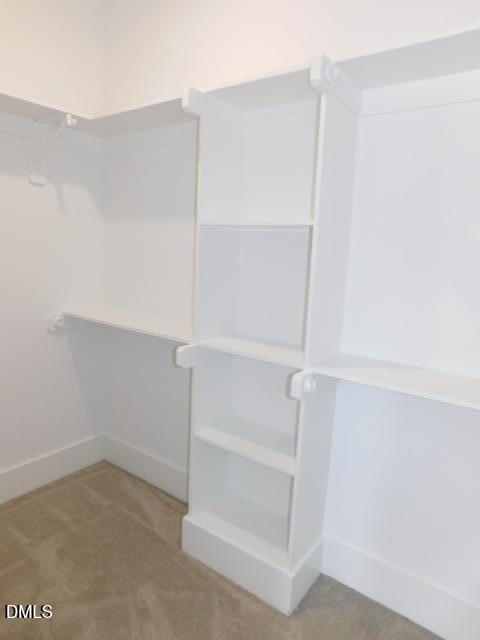 705 Ahad Court Property Photo 51