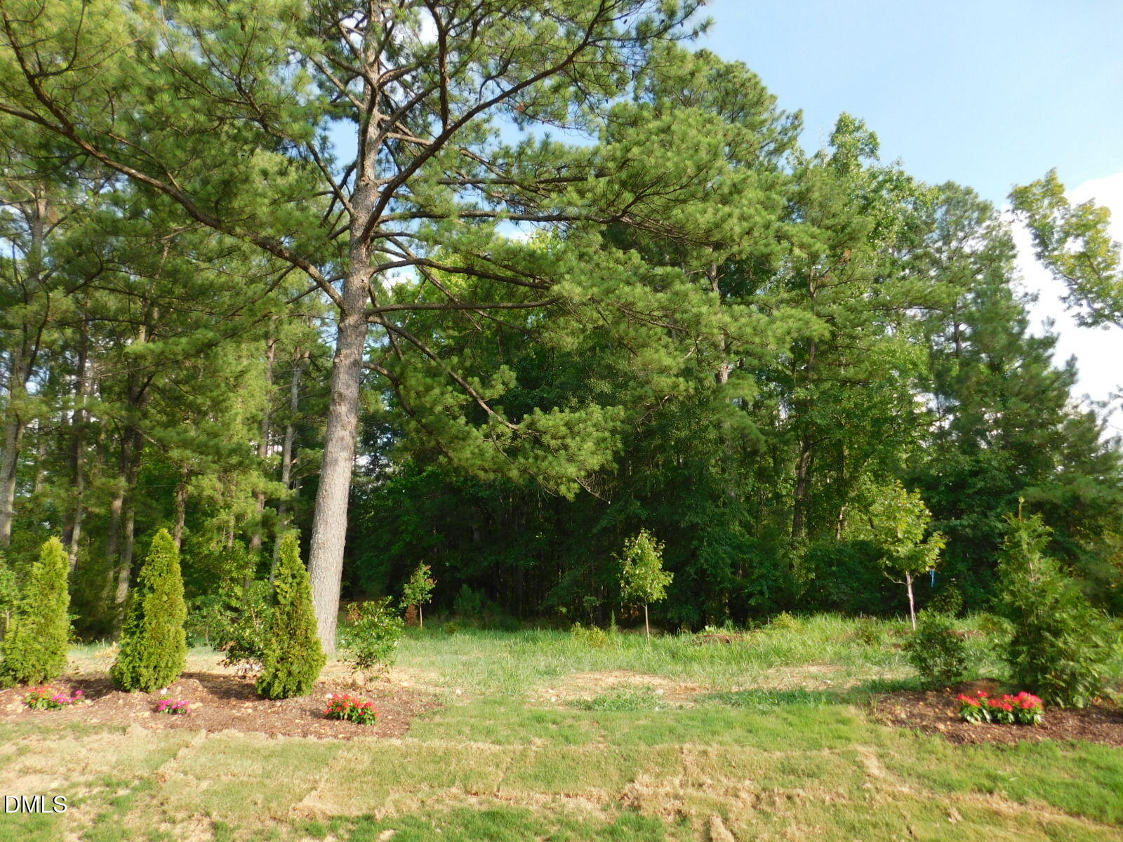 705 Ahad Court Property Photo 69