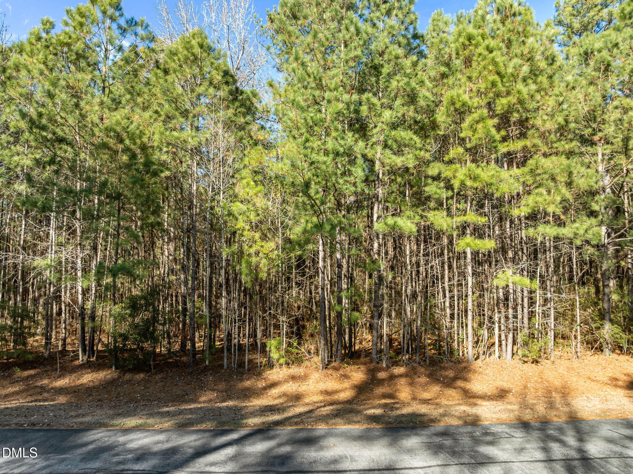0 Bailey Pointe Road Property Photo 4