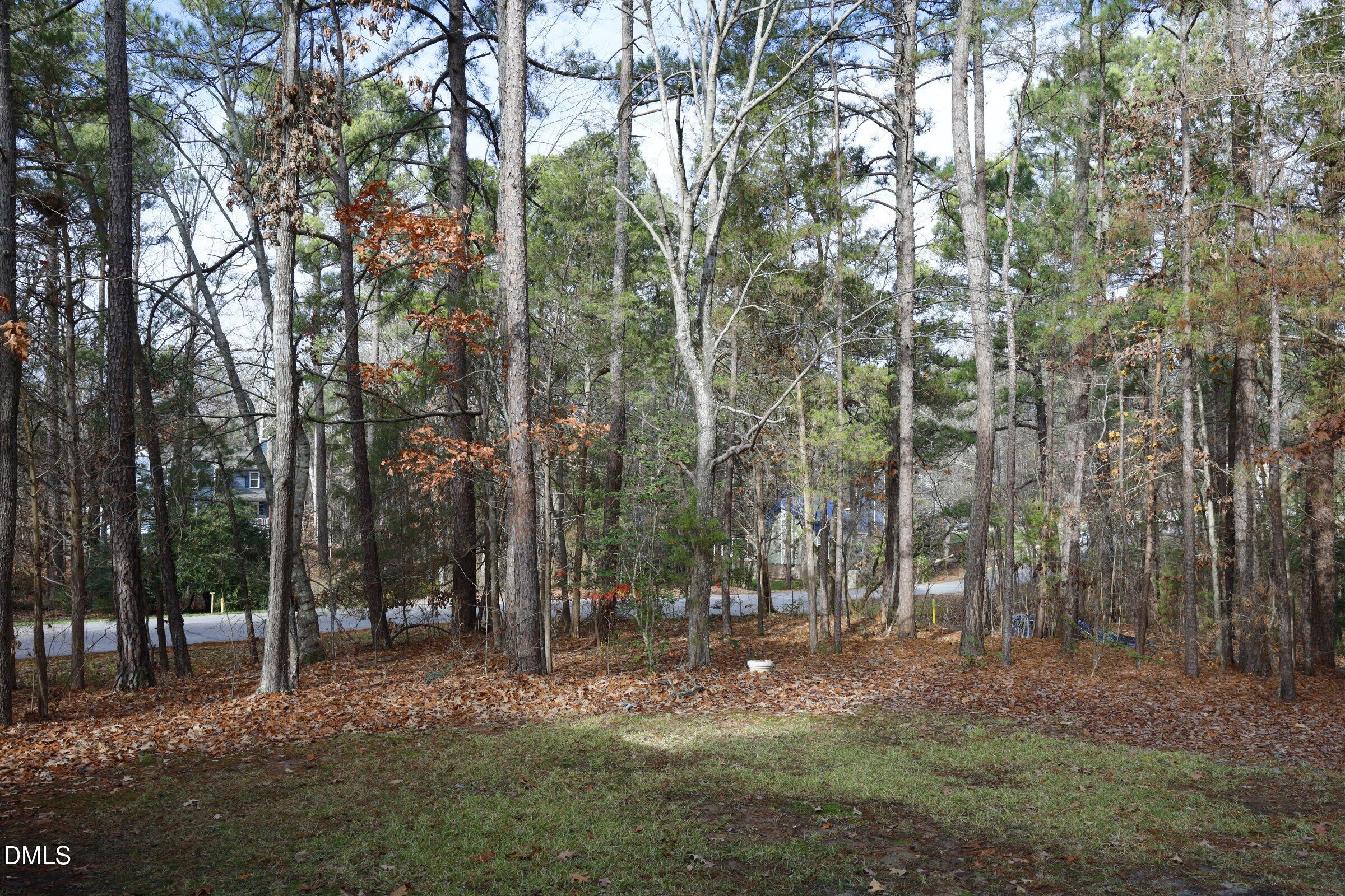 237 Glen Eden Road Property Photo 3