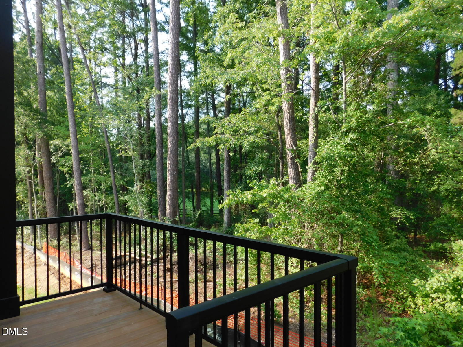 2542 Vining Branch Way Property Photo 19