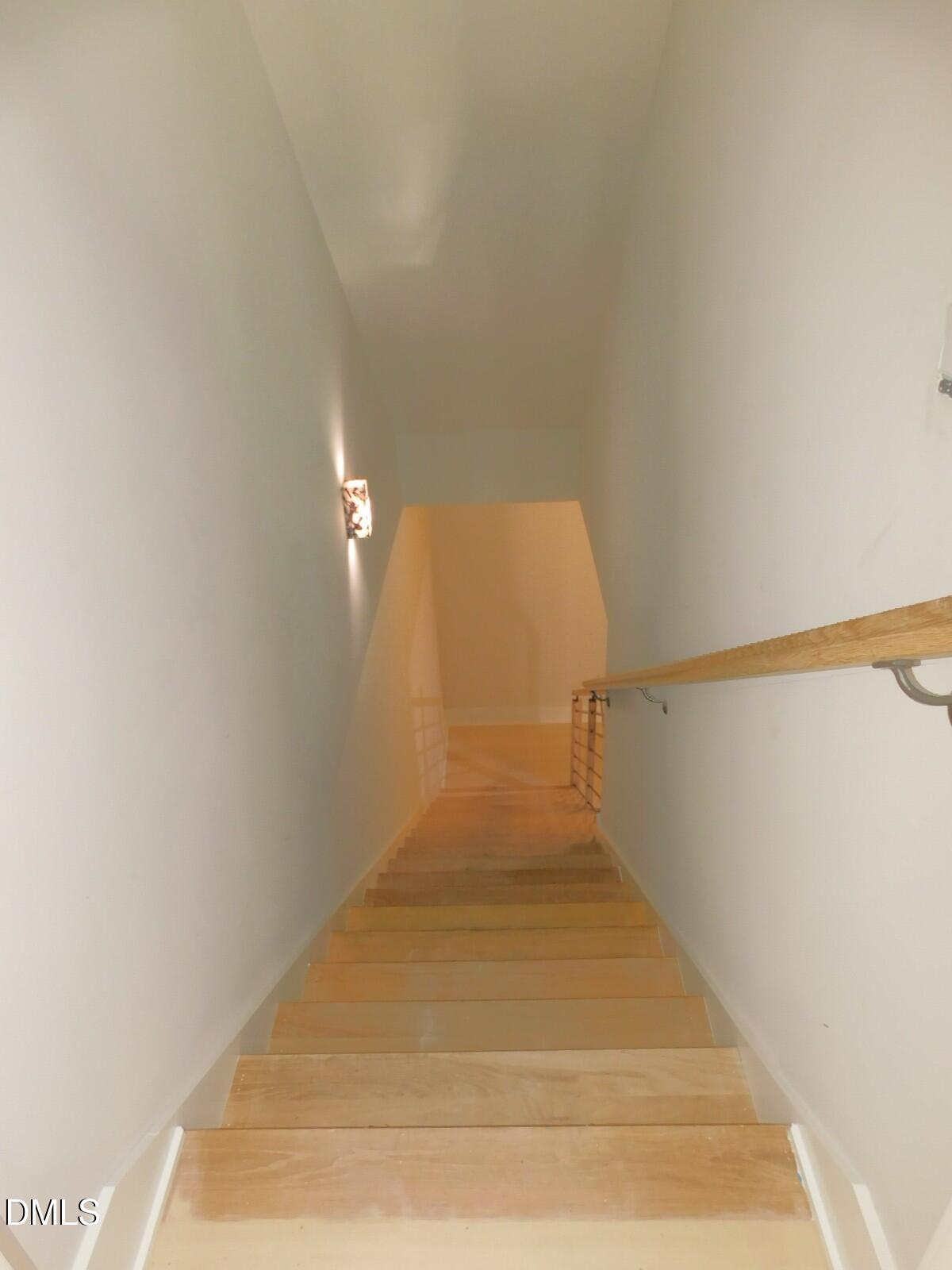 2542 Vining Branch Way Property Photo 51