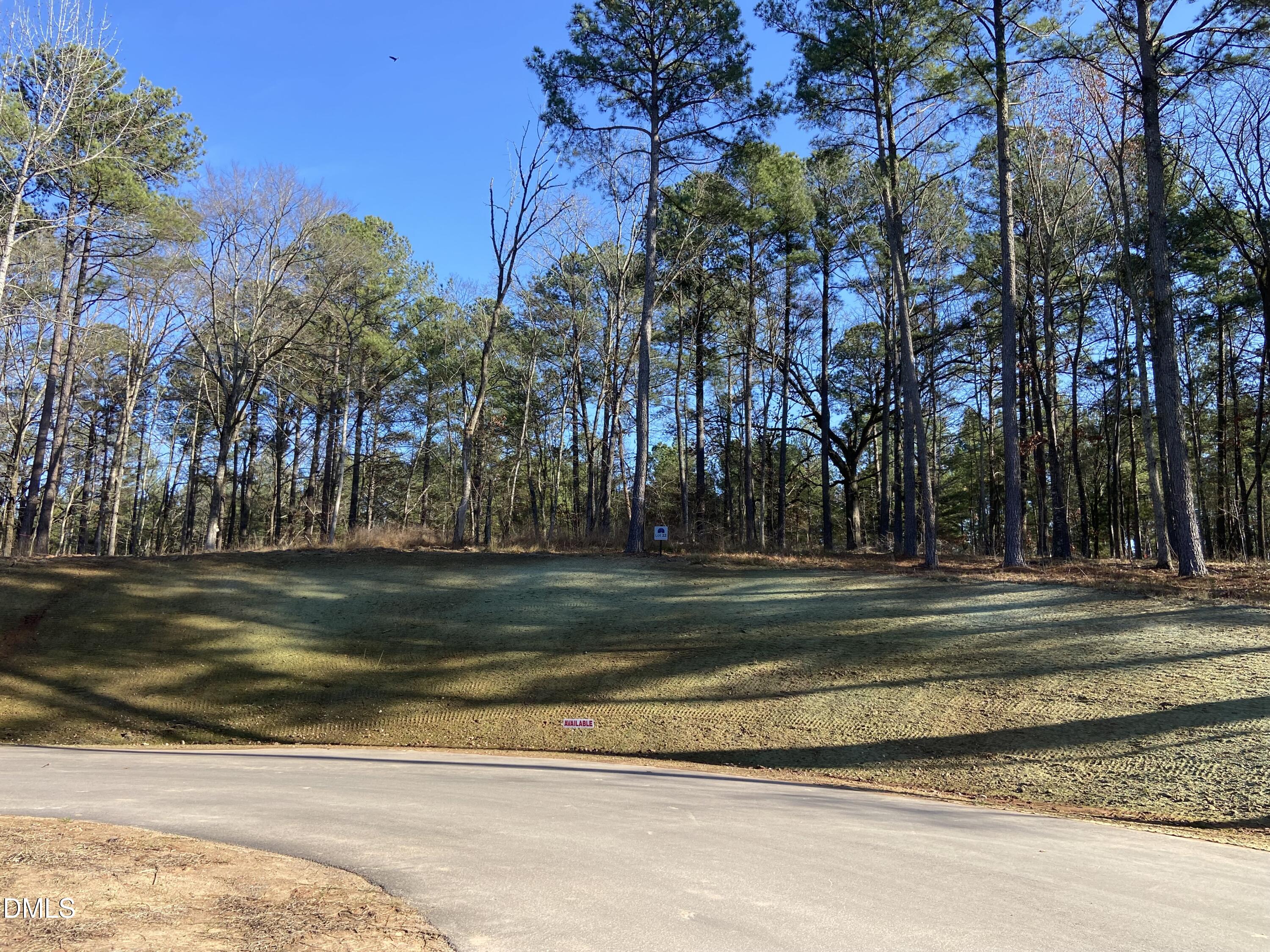9113 Moon Lake Lane Property Photo 2
