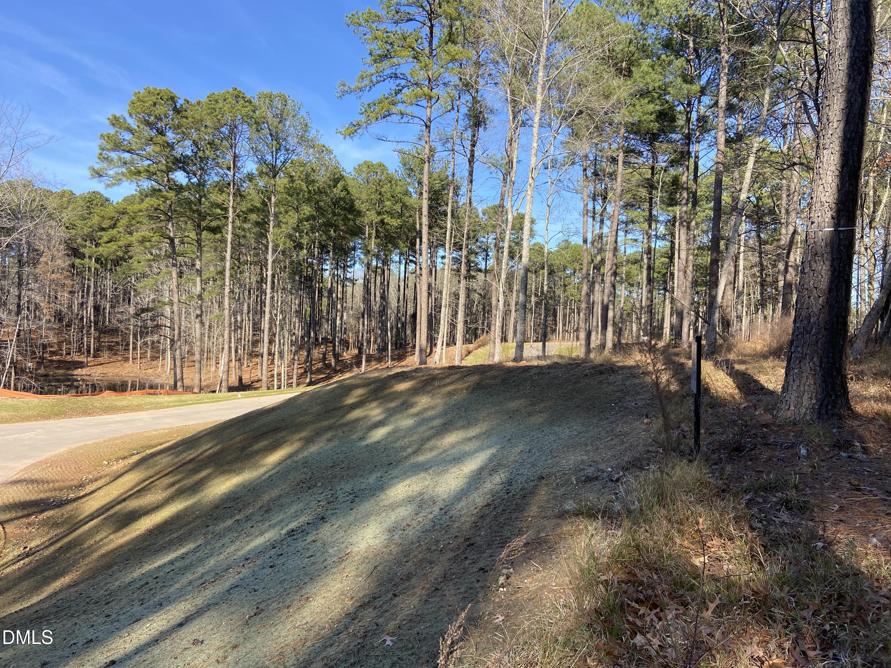 9113 Moon Lake Lane Property Photo 3