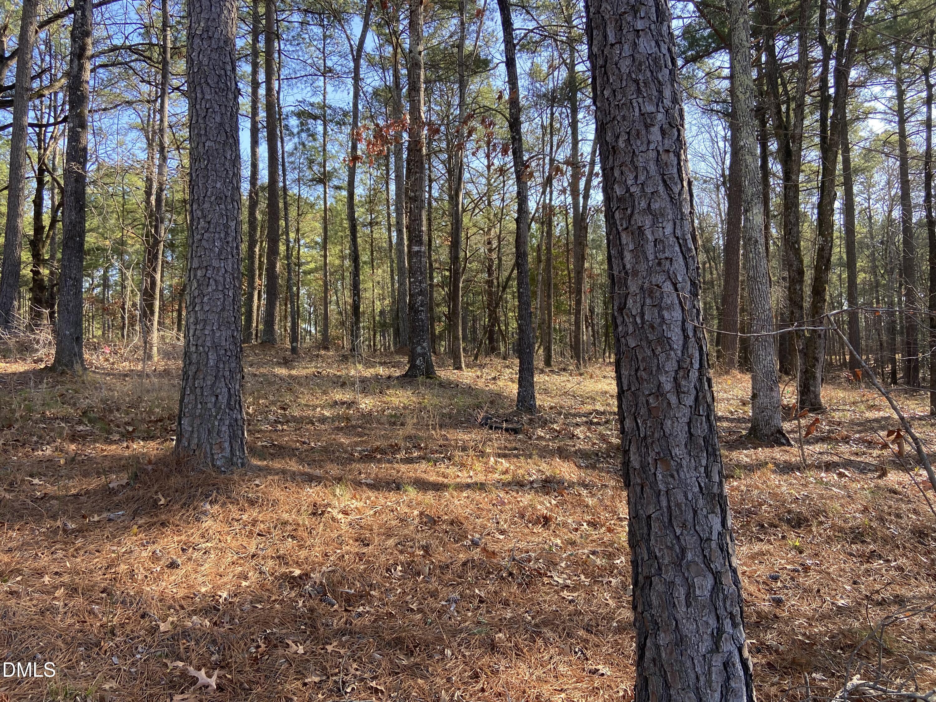 9113 Moon Lake Lane Property Photo 4