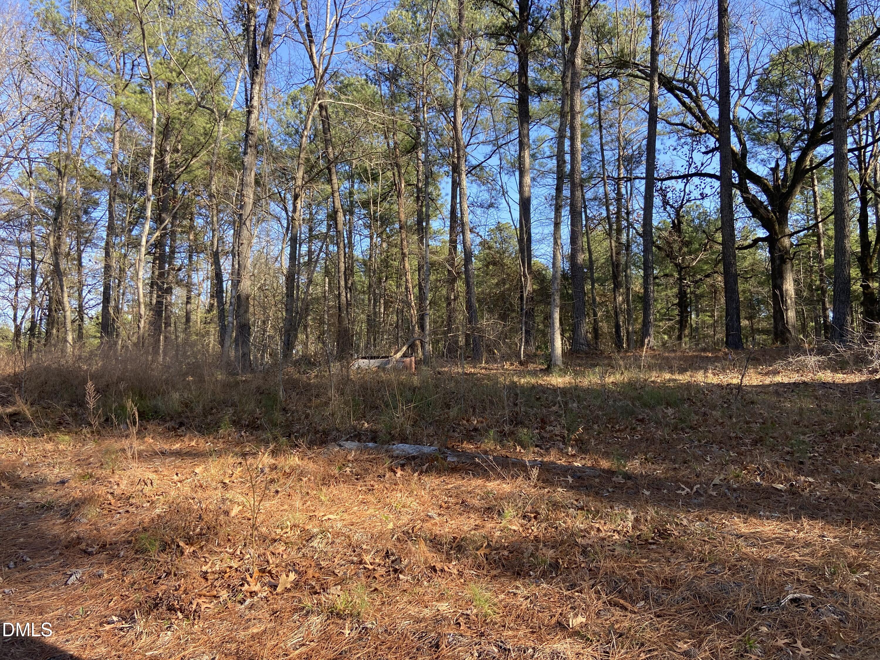 9113 Moon Lake Lane Property Photo 5