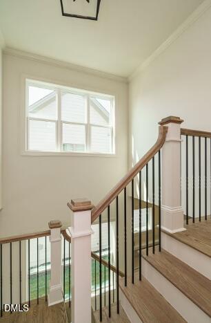 755 W Holly Springs Road Property Photo 29