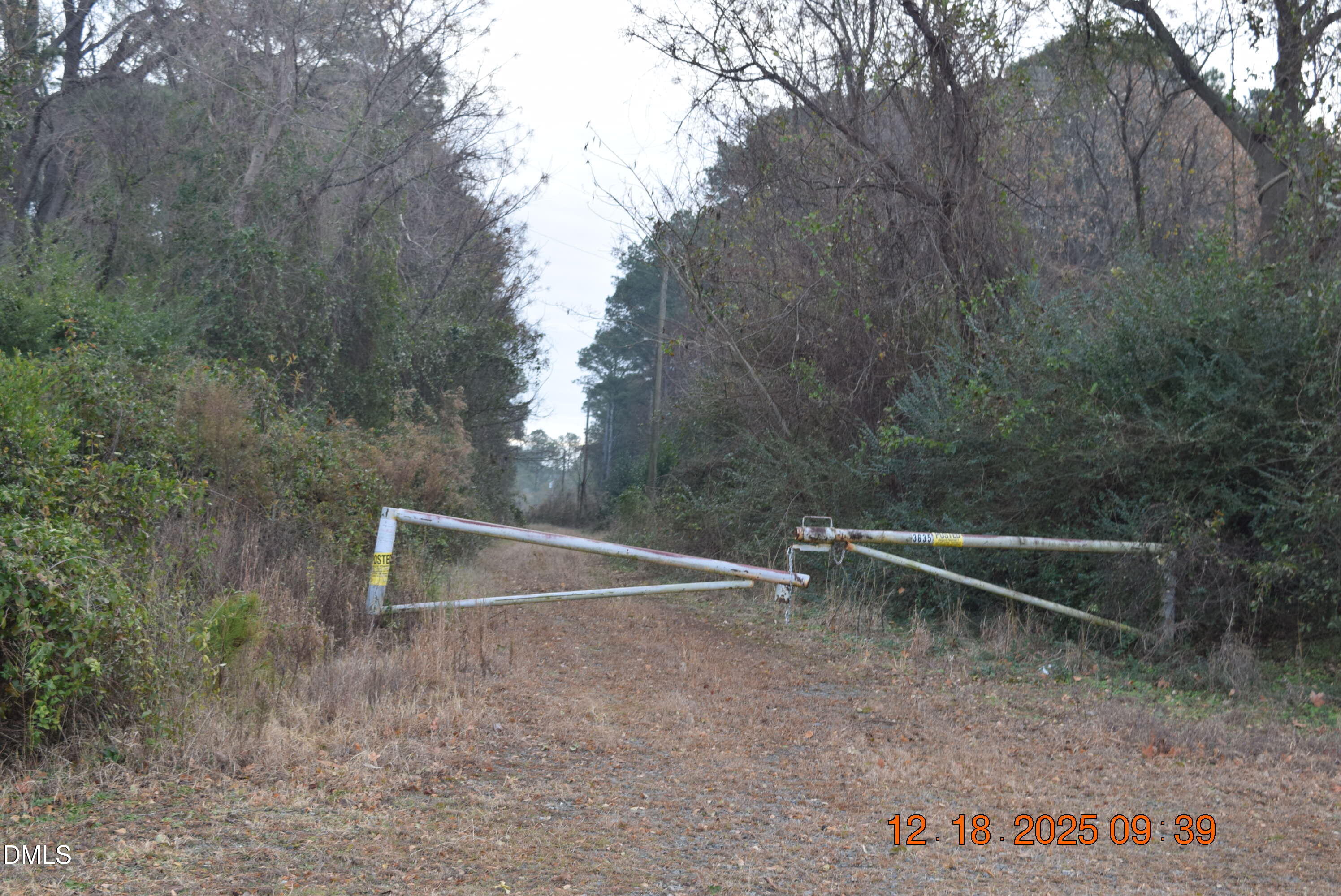 3635 S U.s. 117 Alternate Highway Property Photo 3