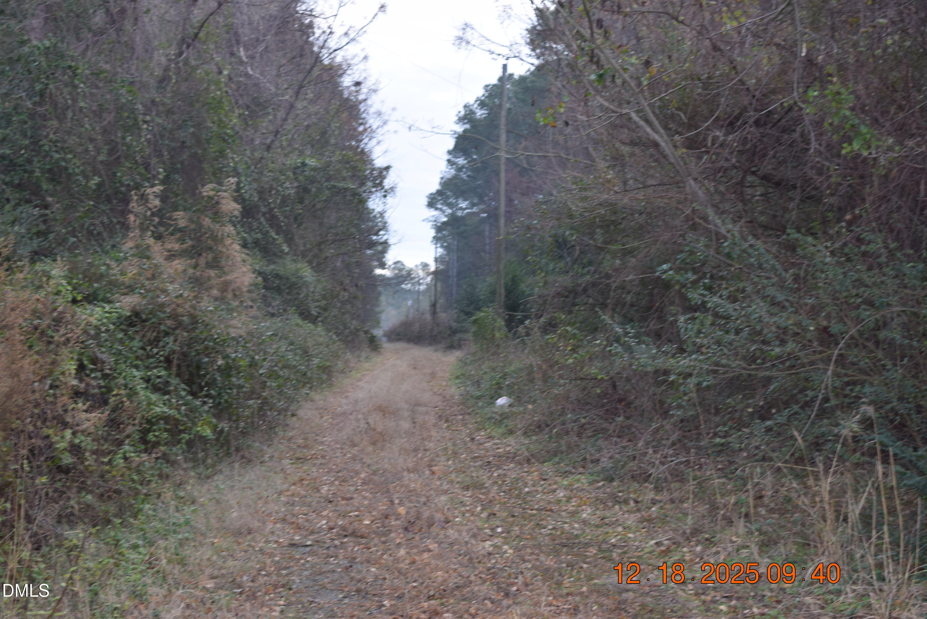 3635 S U.s. 117 Alternate Highway Property Photo 8