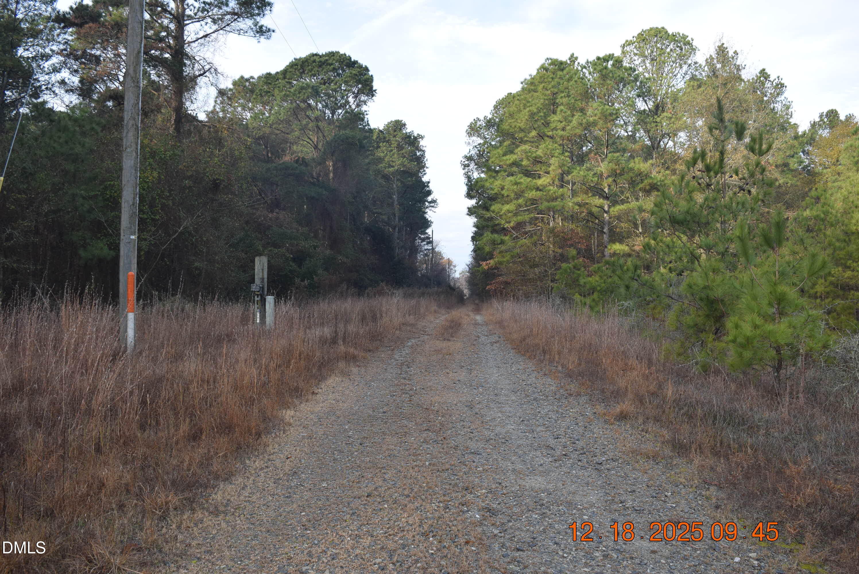 3635 S U.s. 117 Alternate Highway Property Photo 14