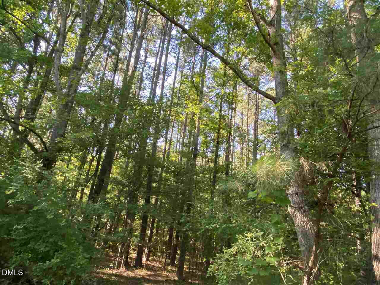 3513 Cheek Road Property Photo 11