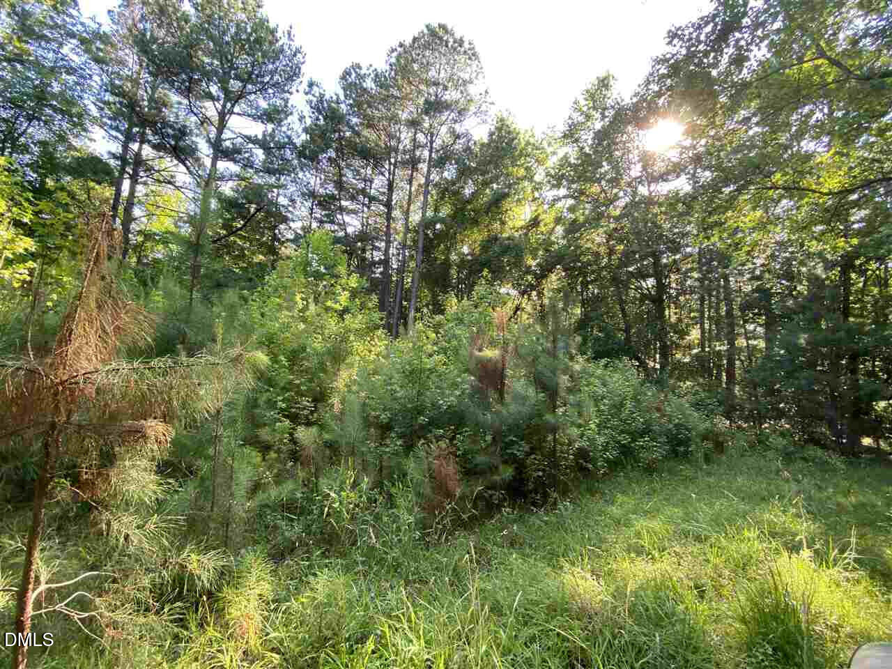 3513 Cheek Road Property Photo 12
