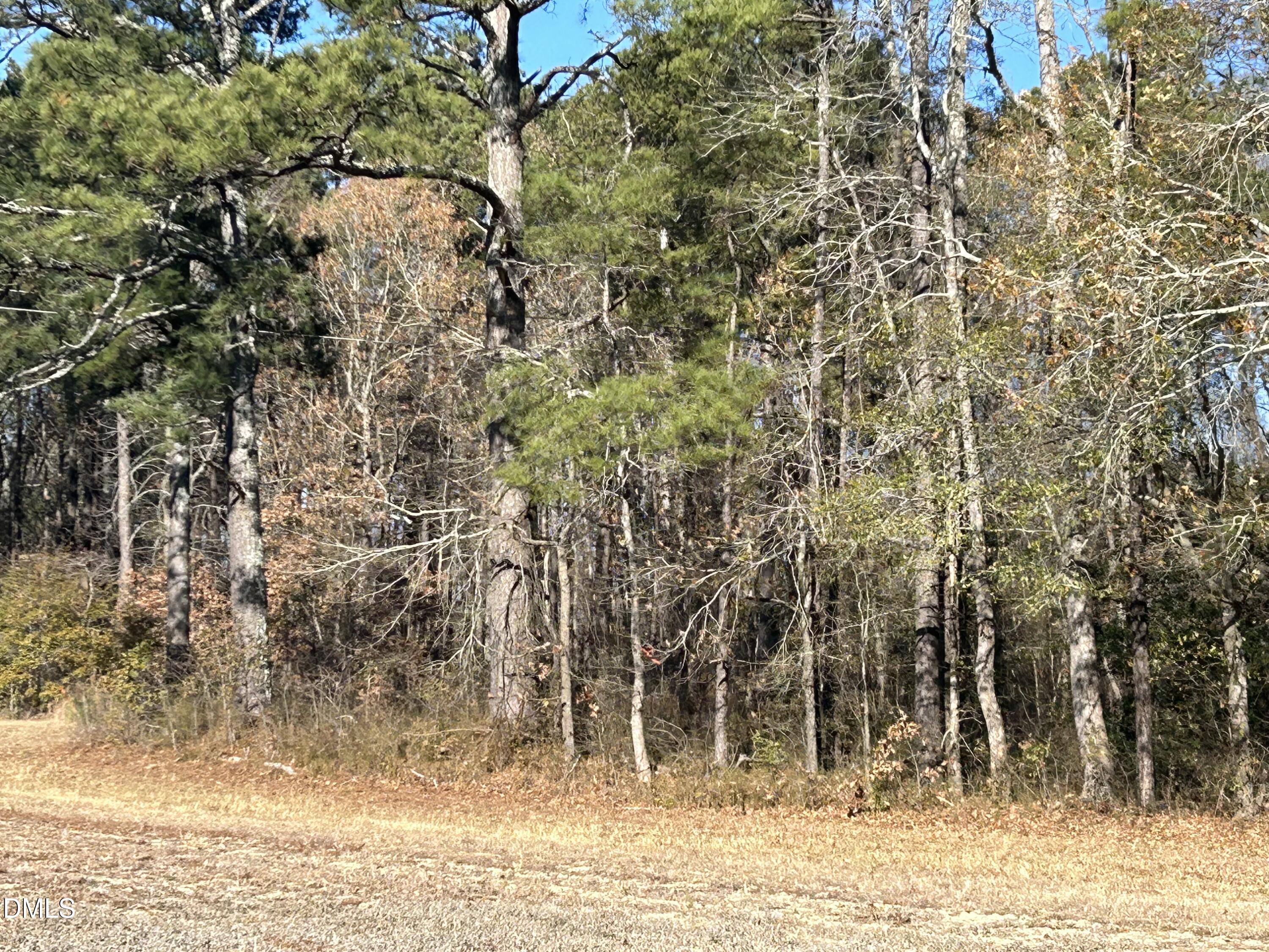 0 Guy Road Property Photo 6