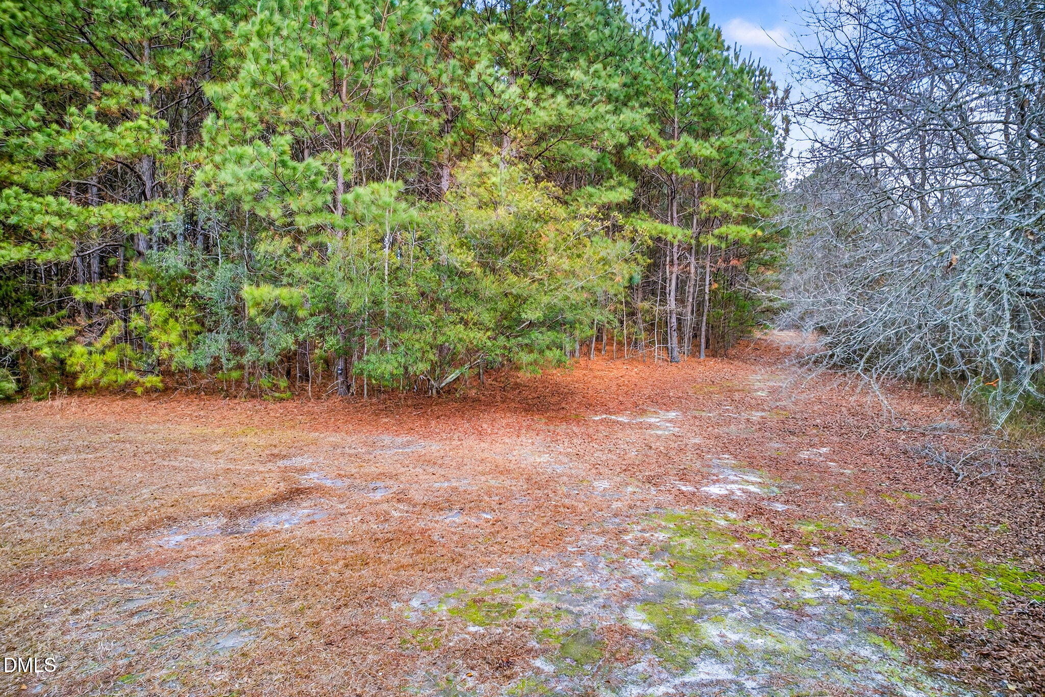 Lot C Kendall Lane Property Photo 18