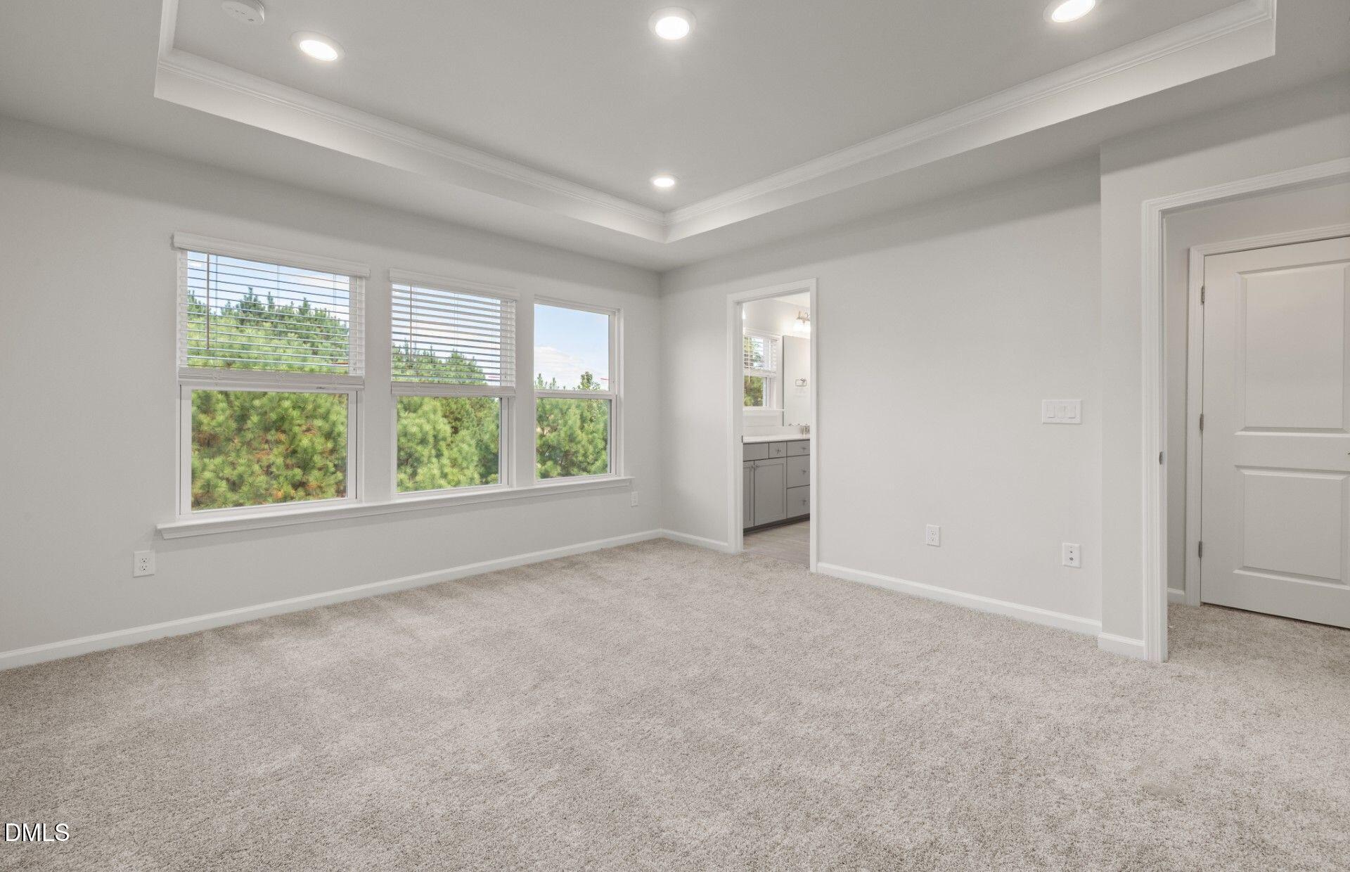 793 Larkspur Bowl Way Property Photo 9