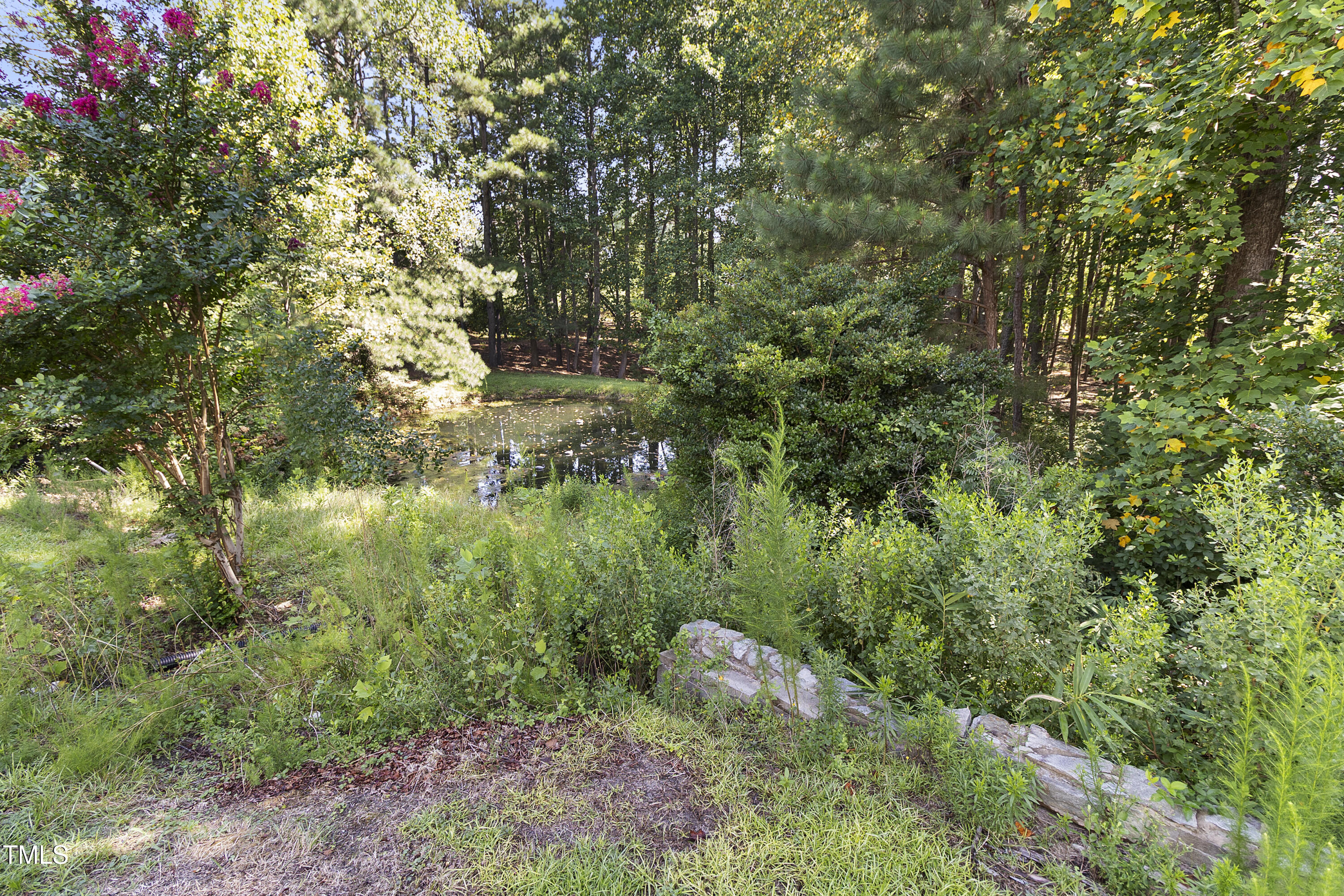1046 Ponderosa Trail Property Photo 48