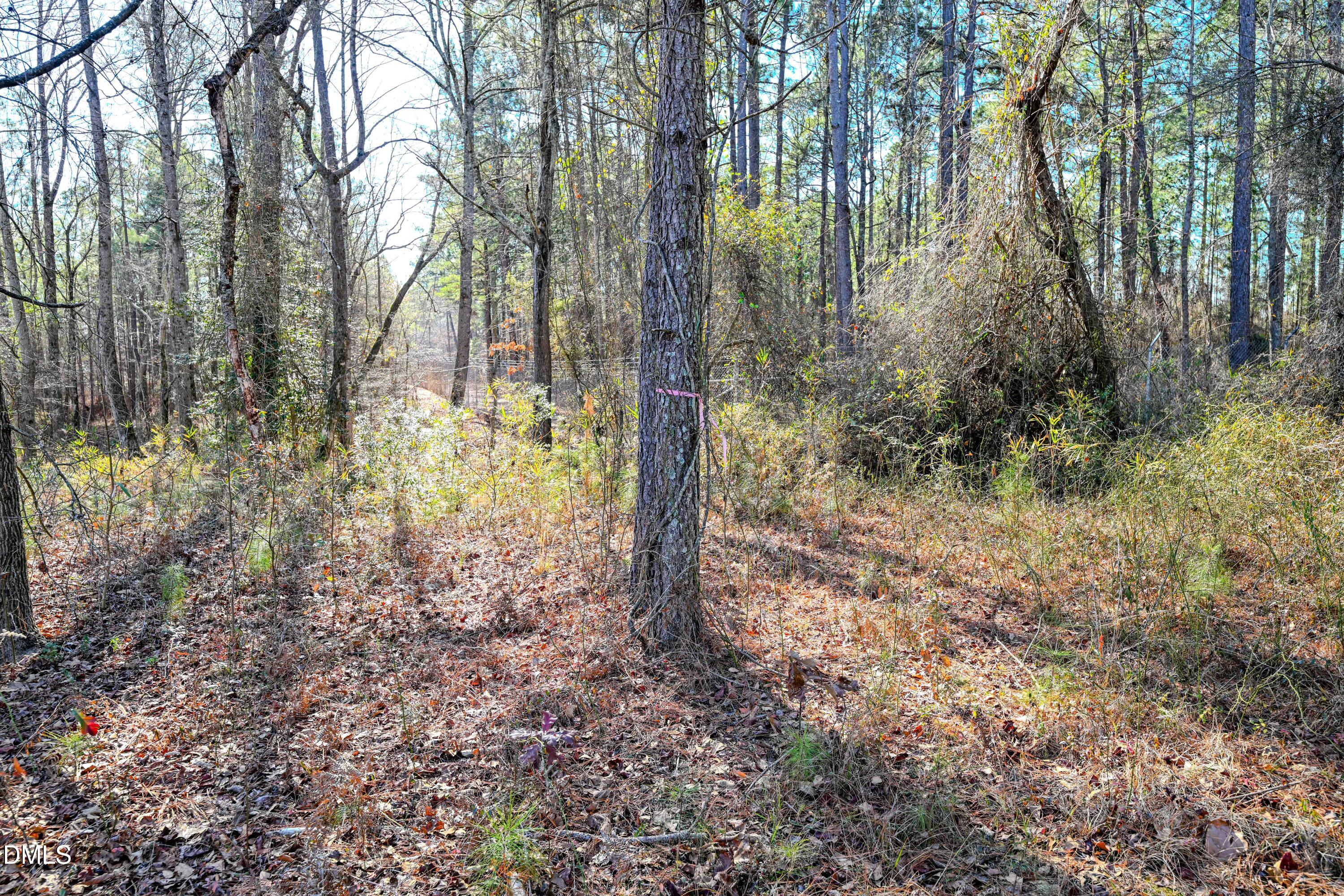 70 Garland Drive Property Photo 15