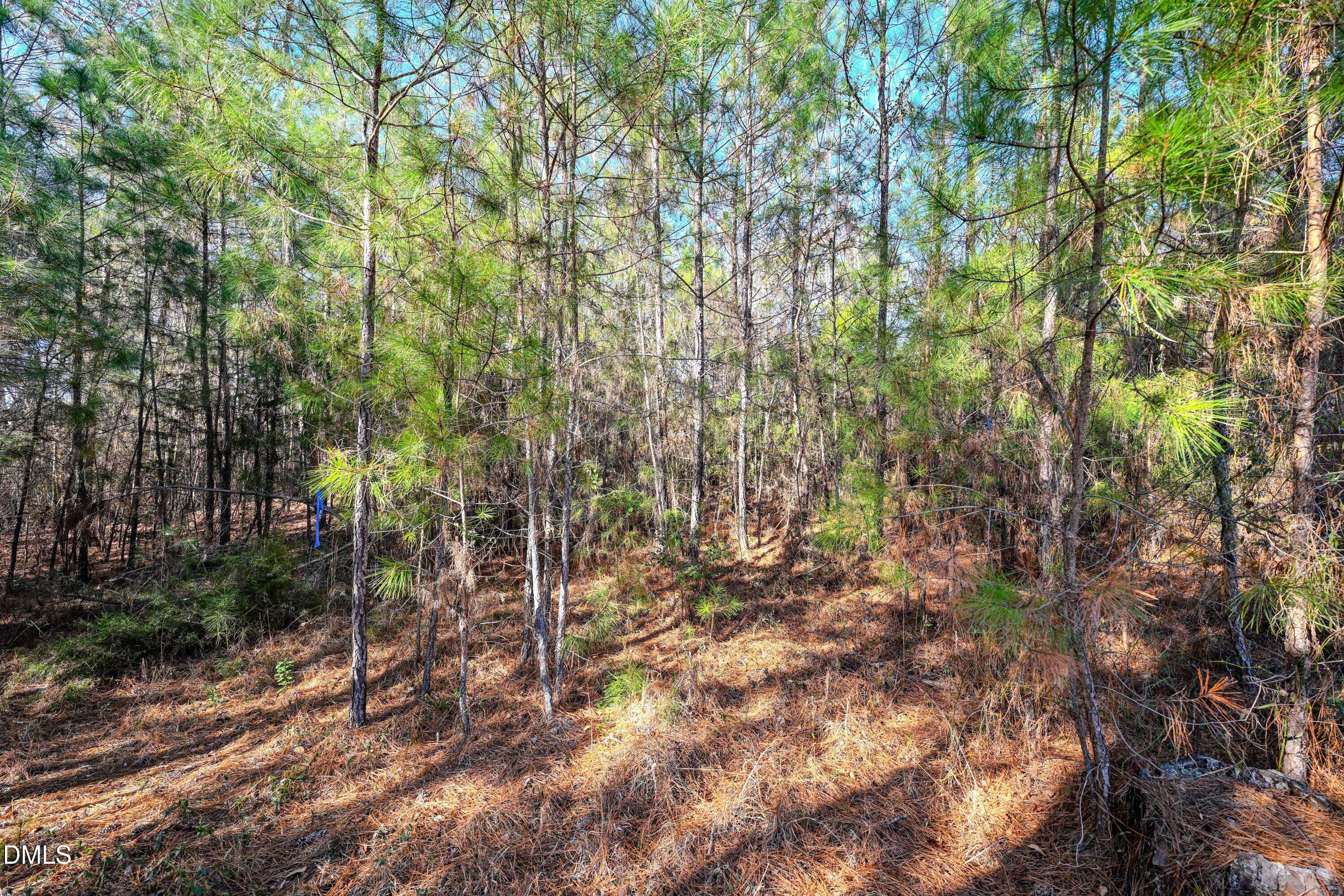 70 Garland Drive Property Photo 18