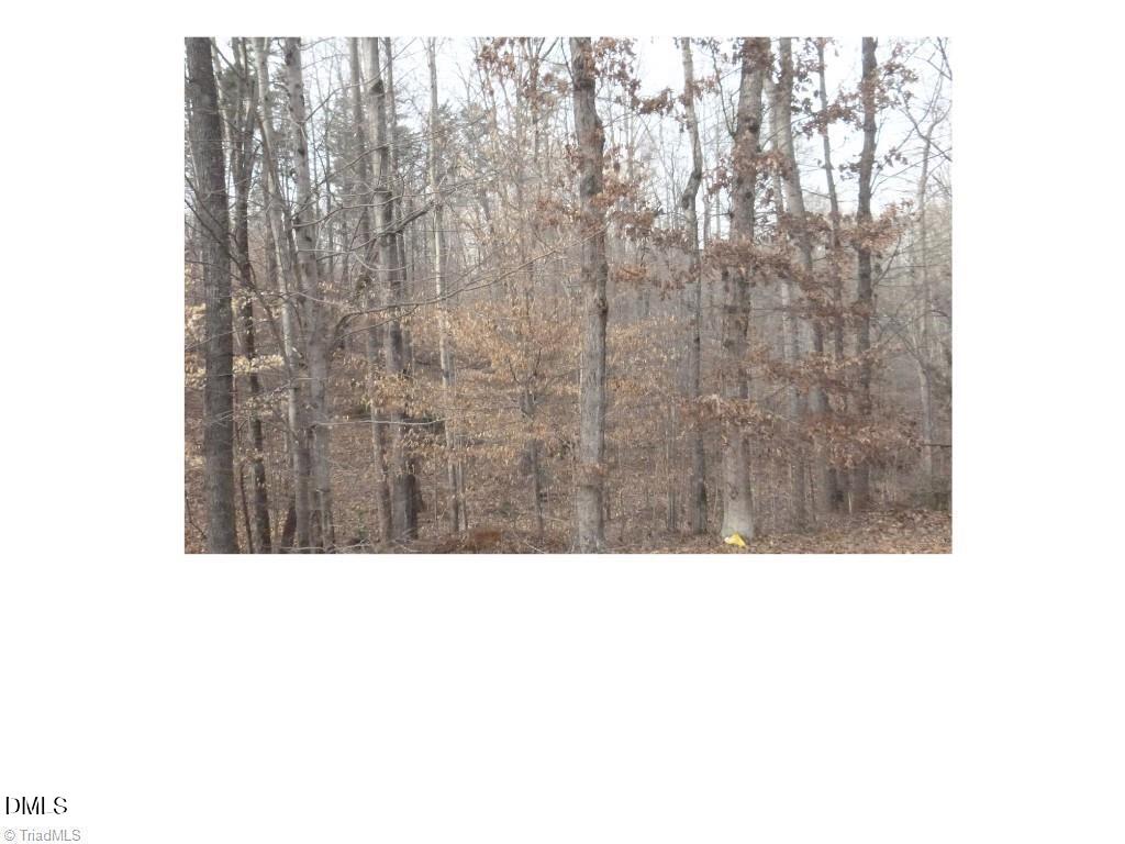 00 Mountain View Property Photo 1