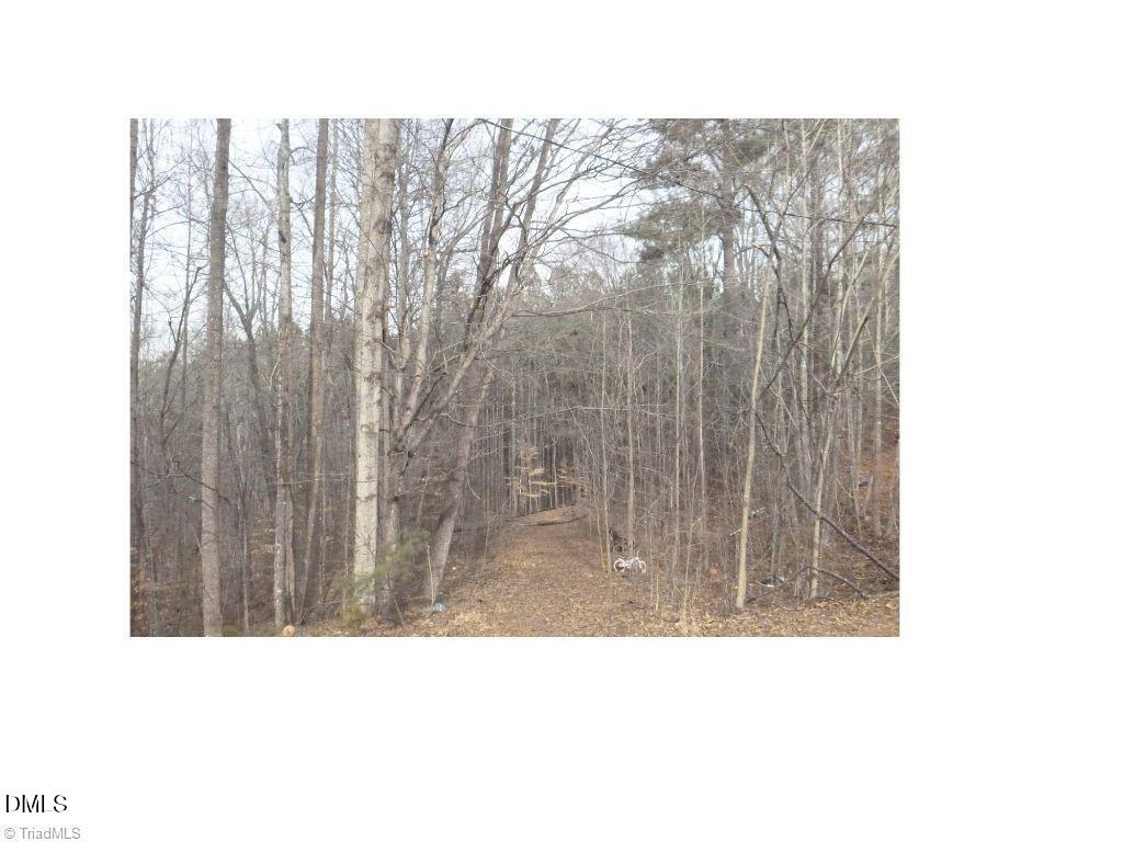 00 Mountain View Property Photo 3