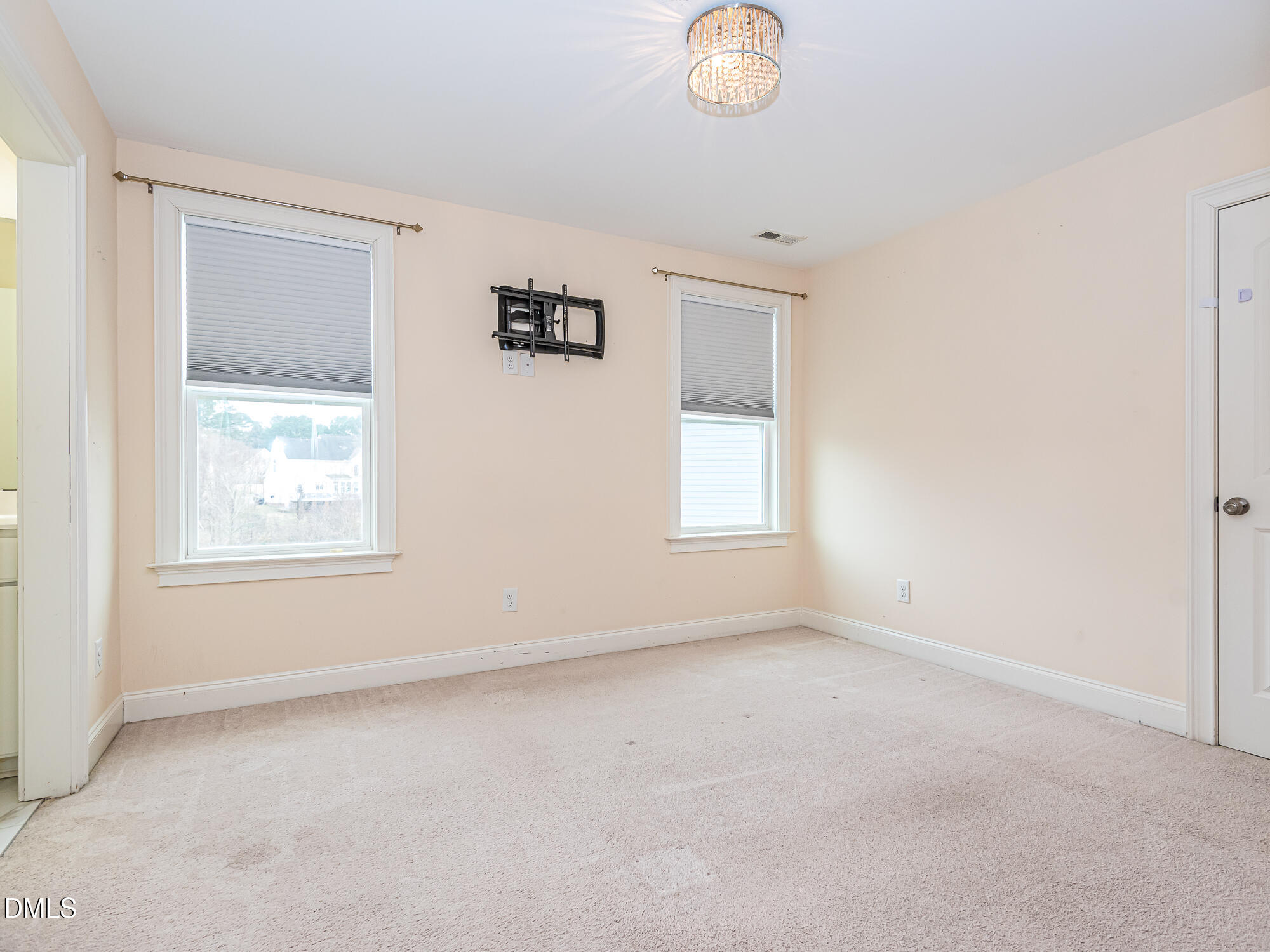 1015 Black River Drive Property Photo 35