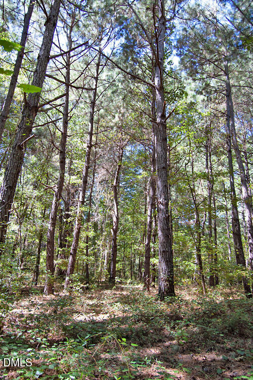 2 Nc Highway 33 Property Photo 22