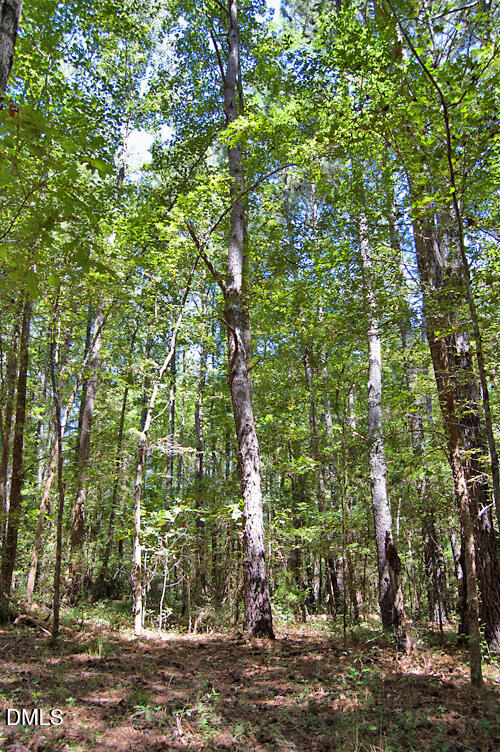 2 Nc Highway 33 Property Photo 33