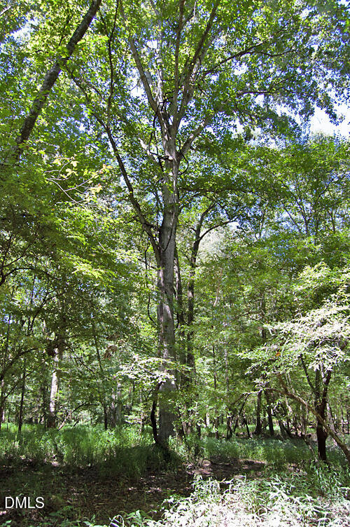 2 Nc Highway 33 Property Photo 50