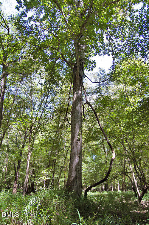 2 Nc Highway 33 Property Photo 51