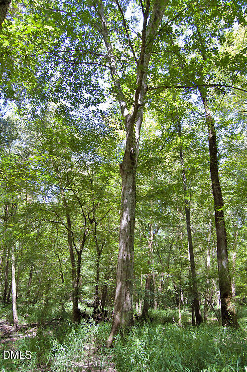 2 Nc Highway 33 Property Photo 56