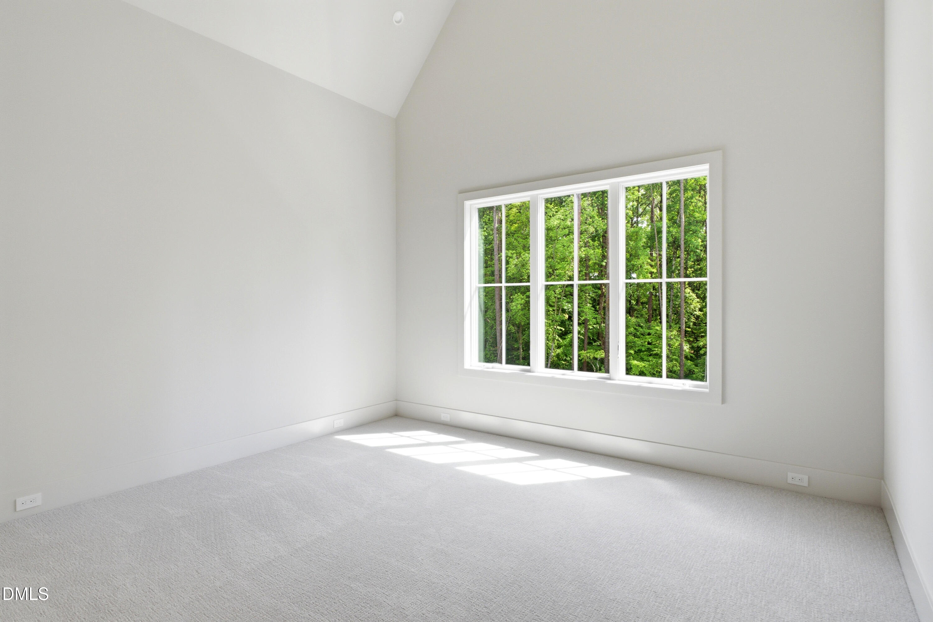 6448 Sanctuary Falls Drive Property Photo 33
