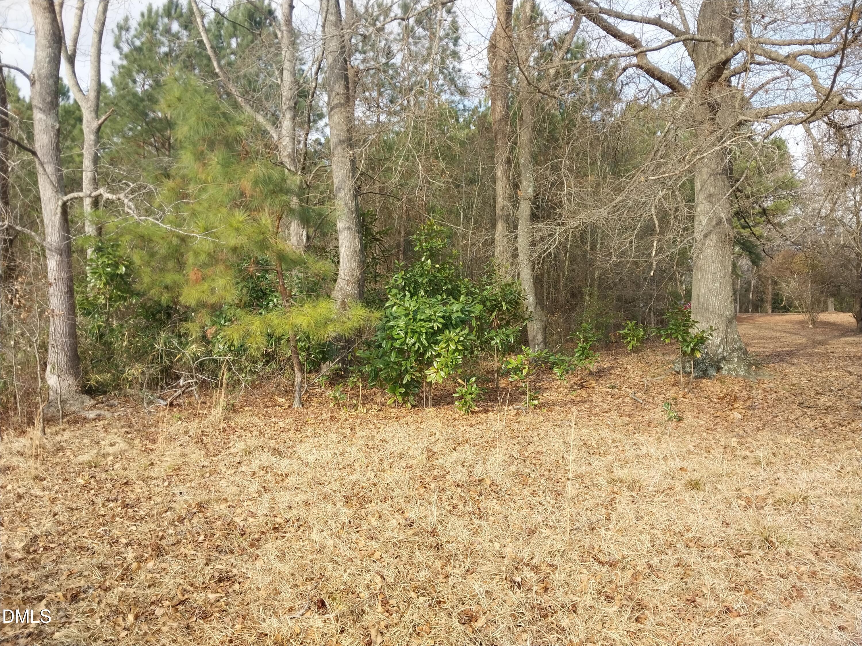 6741 Wimberly Road Property Photo 4